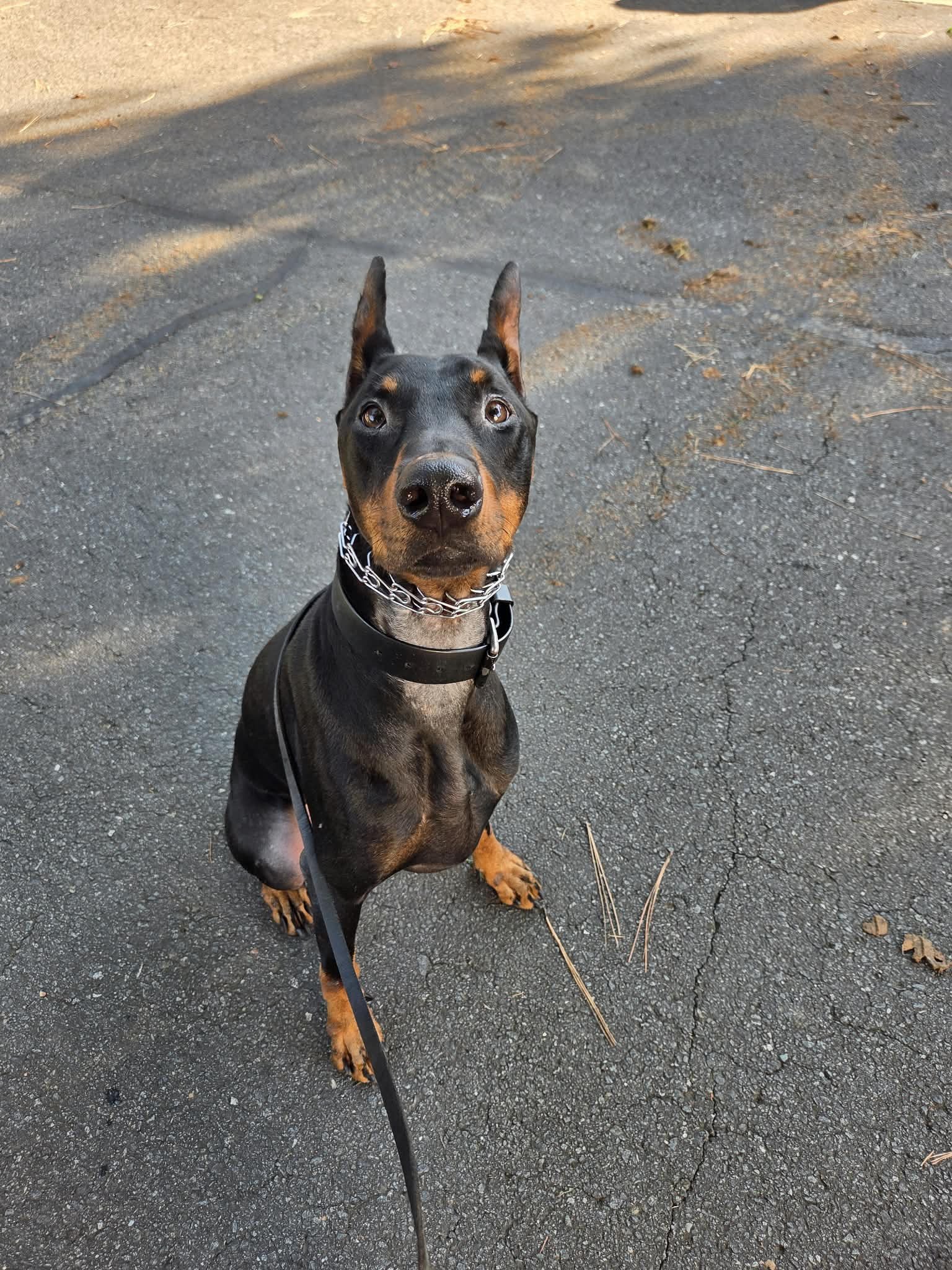 Rozco