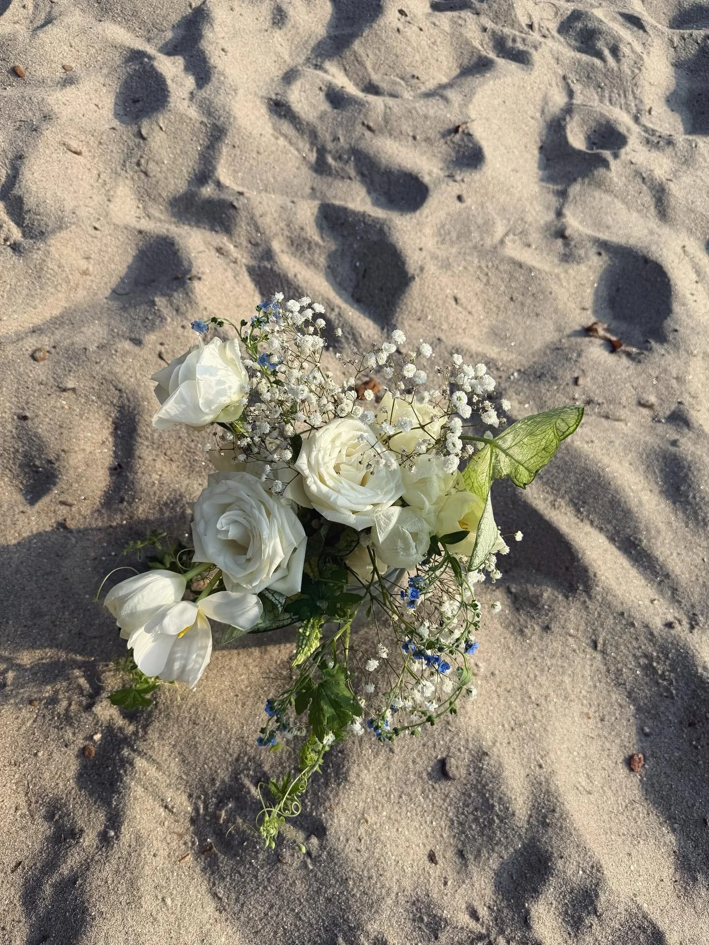 Thoughts n flowers 🌺 
.
.
.
.
.
.
.#hallcountyga #lakelanier #flowerybranch #betrayallist #kanyebetrayallist #hibiscusflowers🌺 #northga #northgaflorist #sailboats