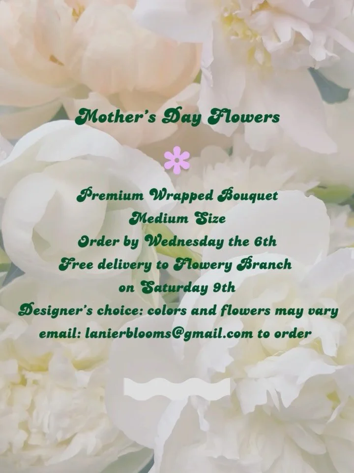 Link in bio 🔗 🌼. When this peony variety had two blooming from the same stem, I instantly thought mama and baby peony ☺️. #mothersdayflowers 
.
.
.
.
.
.
.
.
.
.#flowerybranch #flowerdelivery #bouquet #northgaflorist