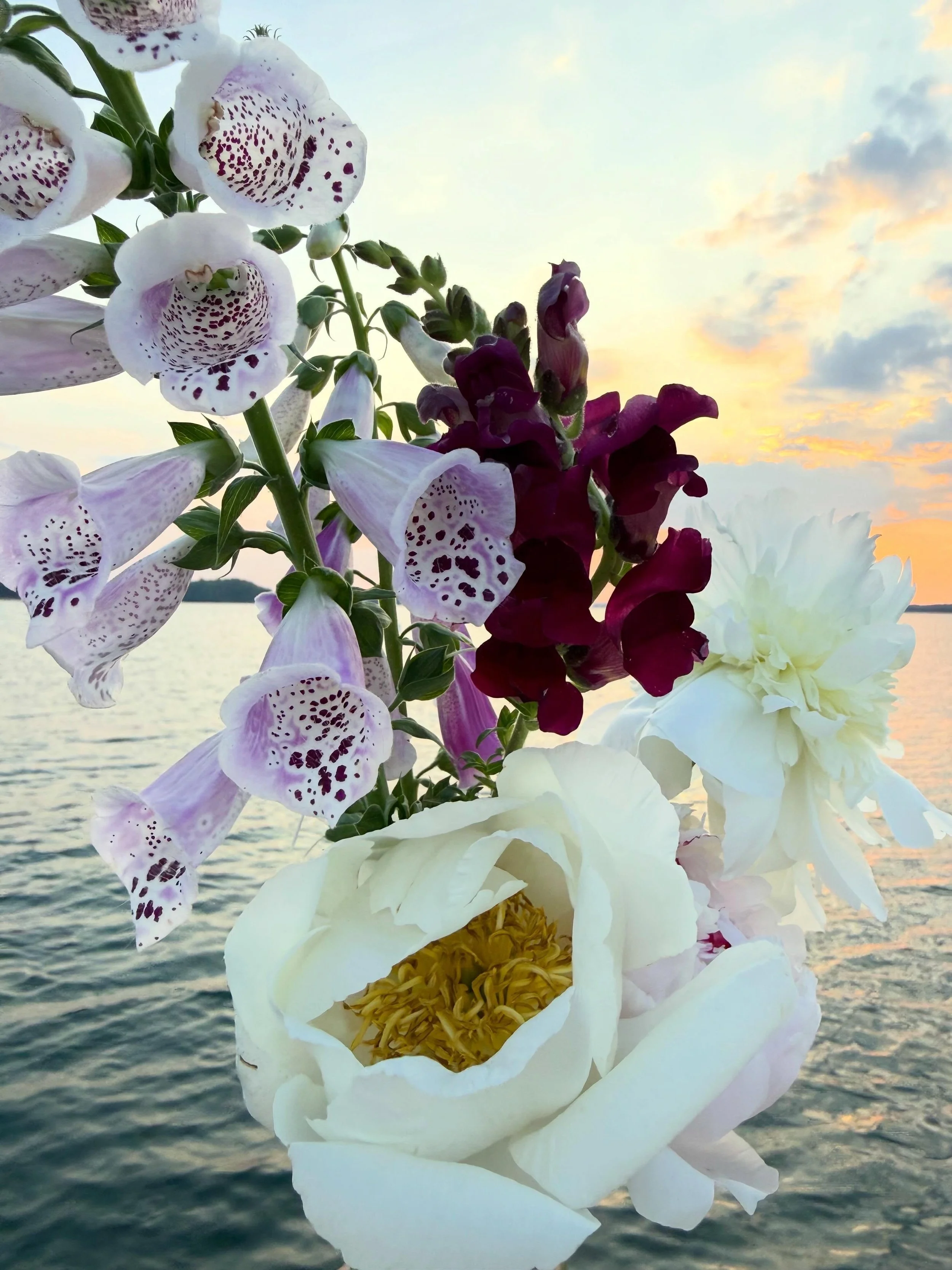 Boats n Flowers 🚤 🌼 🍃 
Over the past few months, I&rsquo;ve been documenting/photographing flowers on the lake at sunset for a project I&rsquo;m working on.. set to debut by end of year. Every 🌺 from my garden. Here&rsquo;s a glimpse of that and 