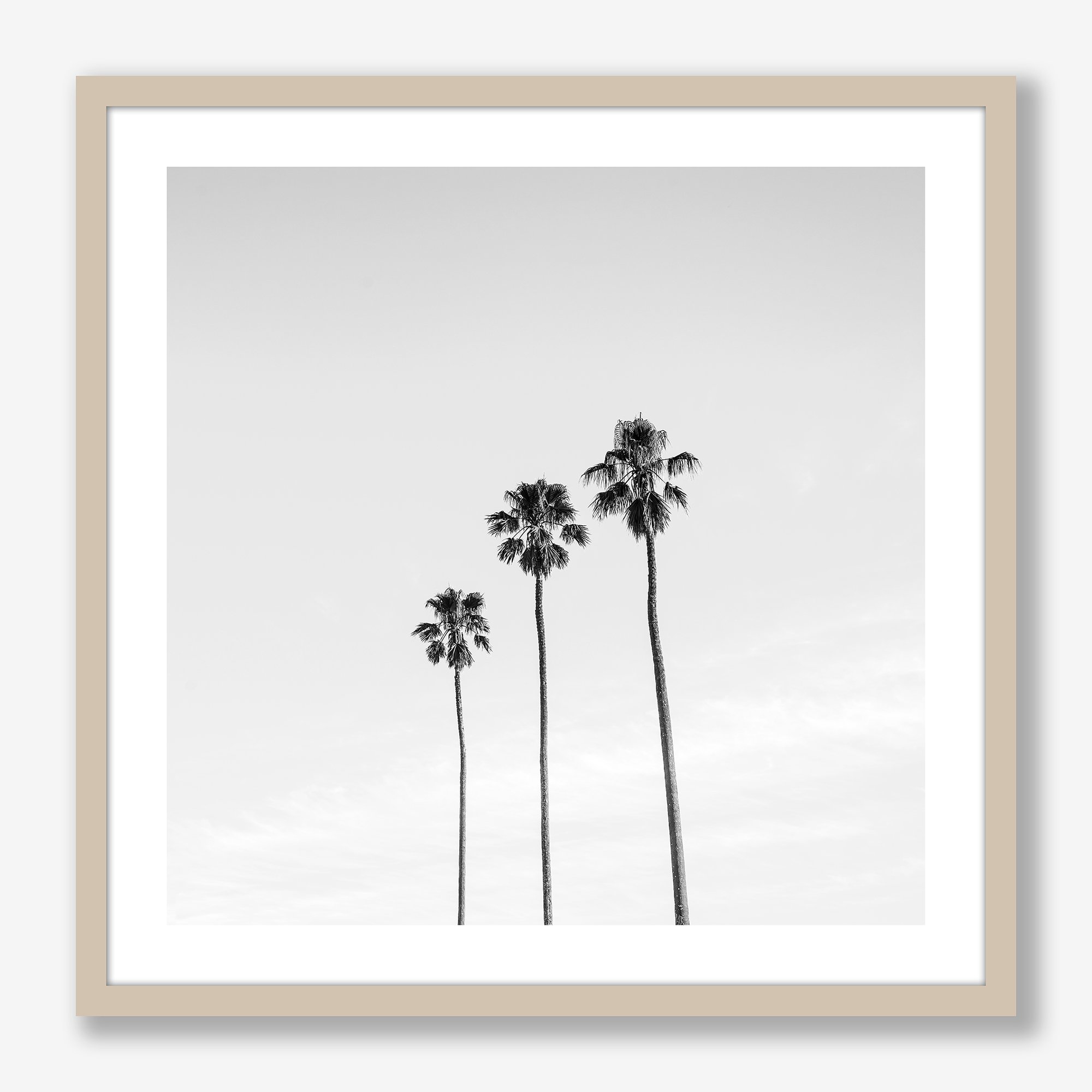 three-palms-oak-ff.jpg (Copy)