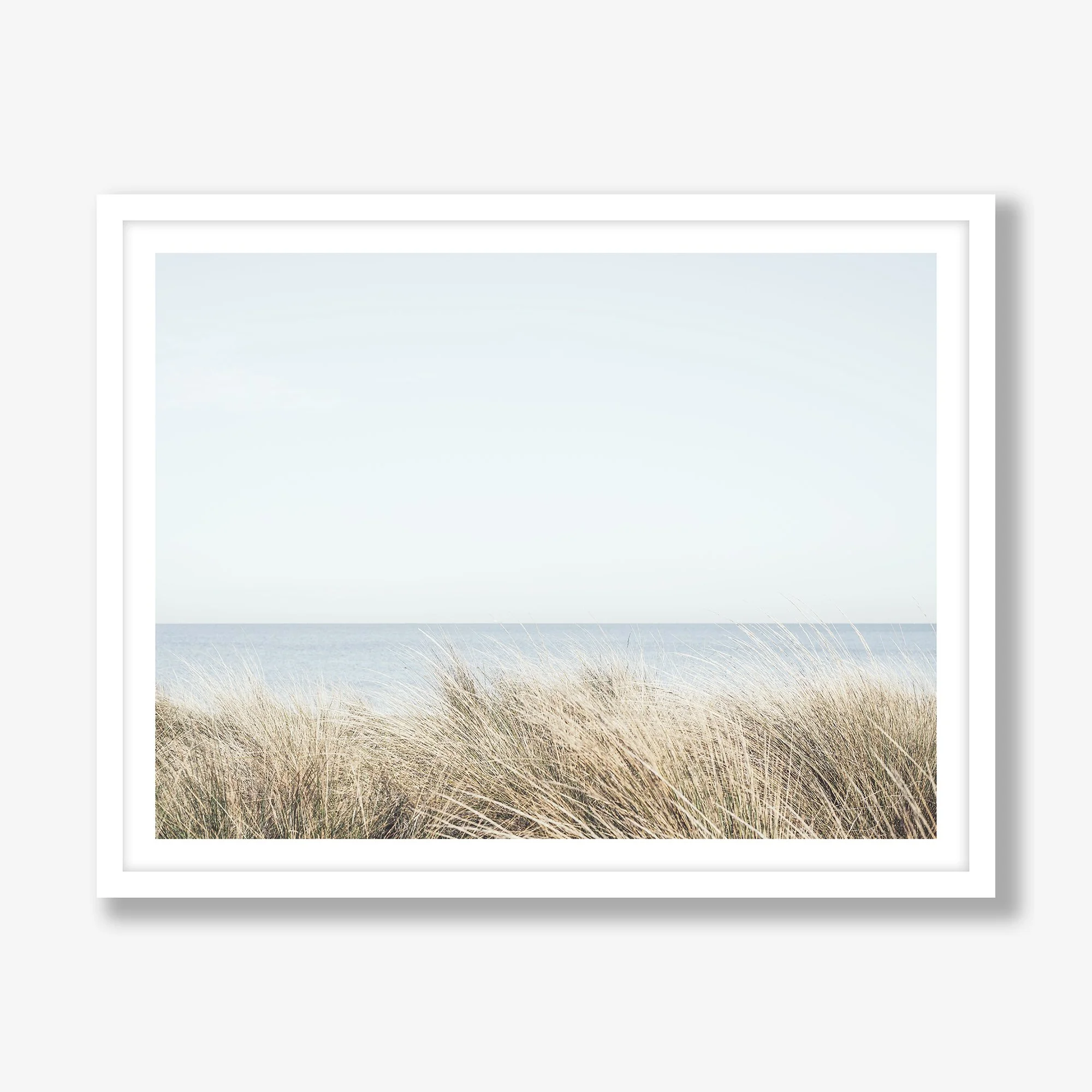 seagrasses-south-melbourne-white.jpg