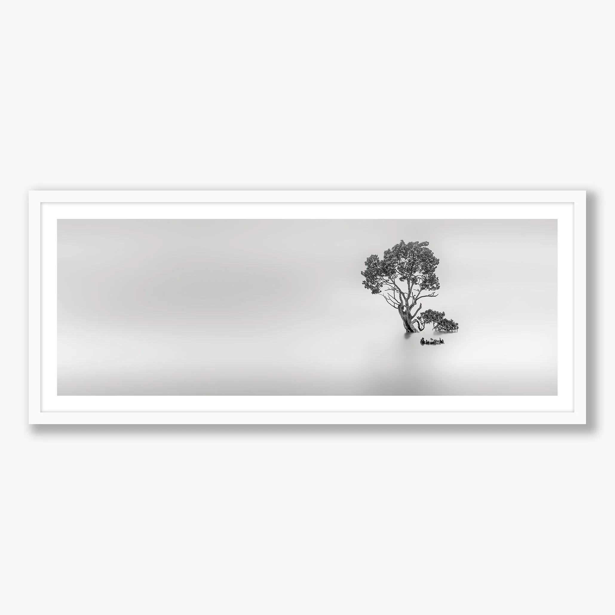 zen-tree-no2-white.jpg