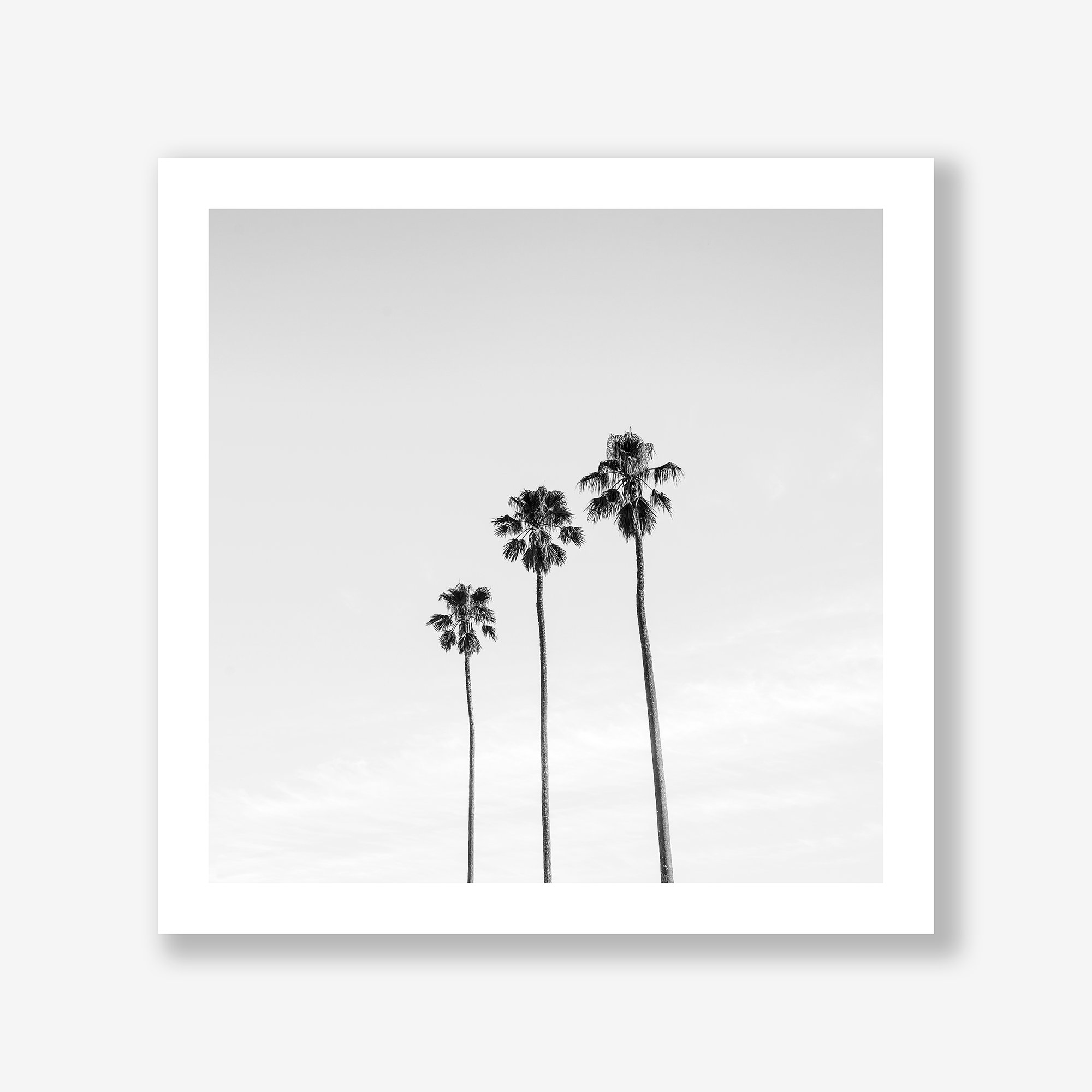 three-palms-print.jpg