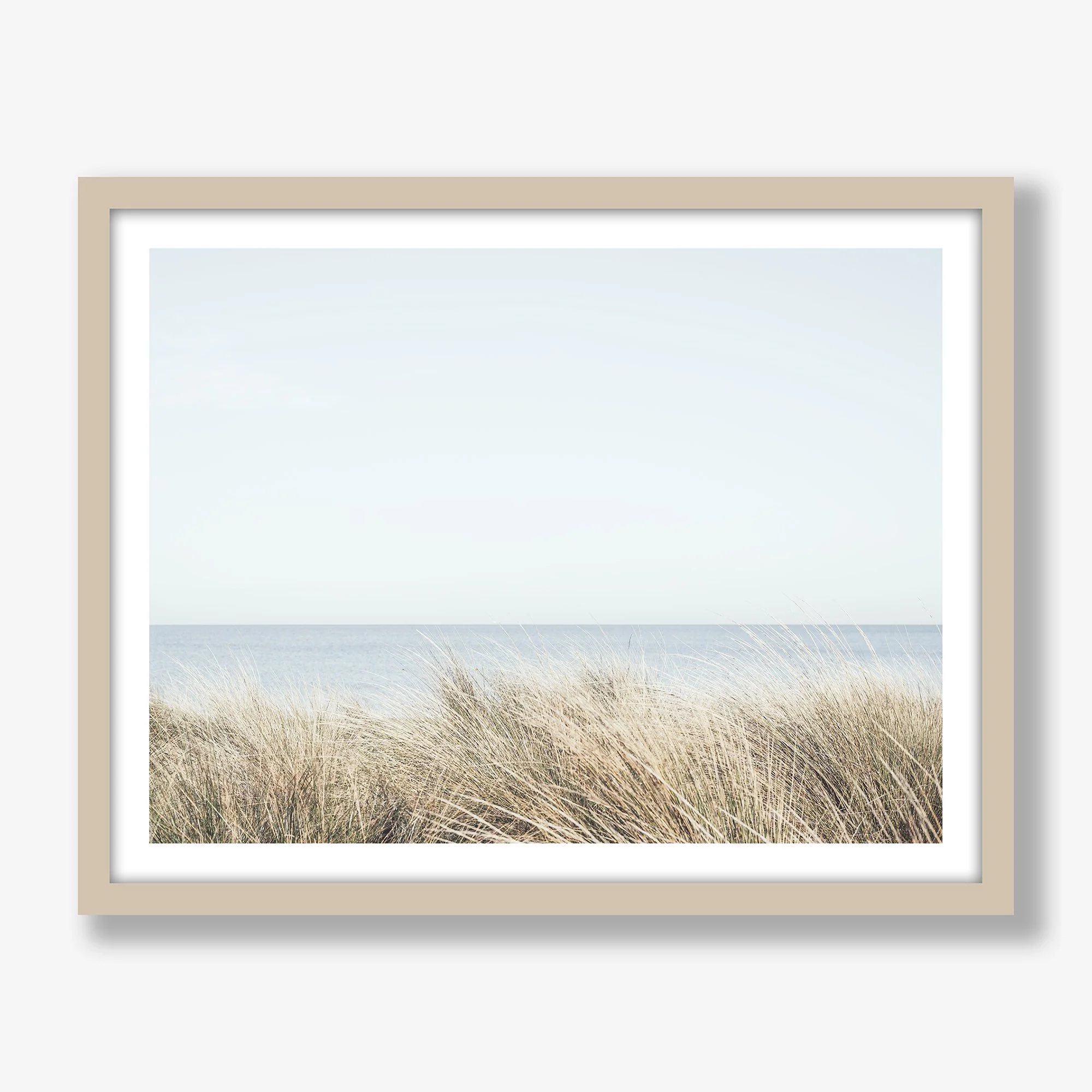 seagrasses-south-melbourne-oak.jpg