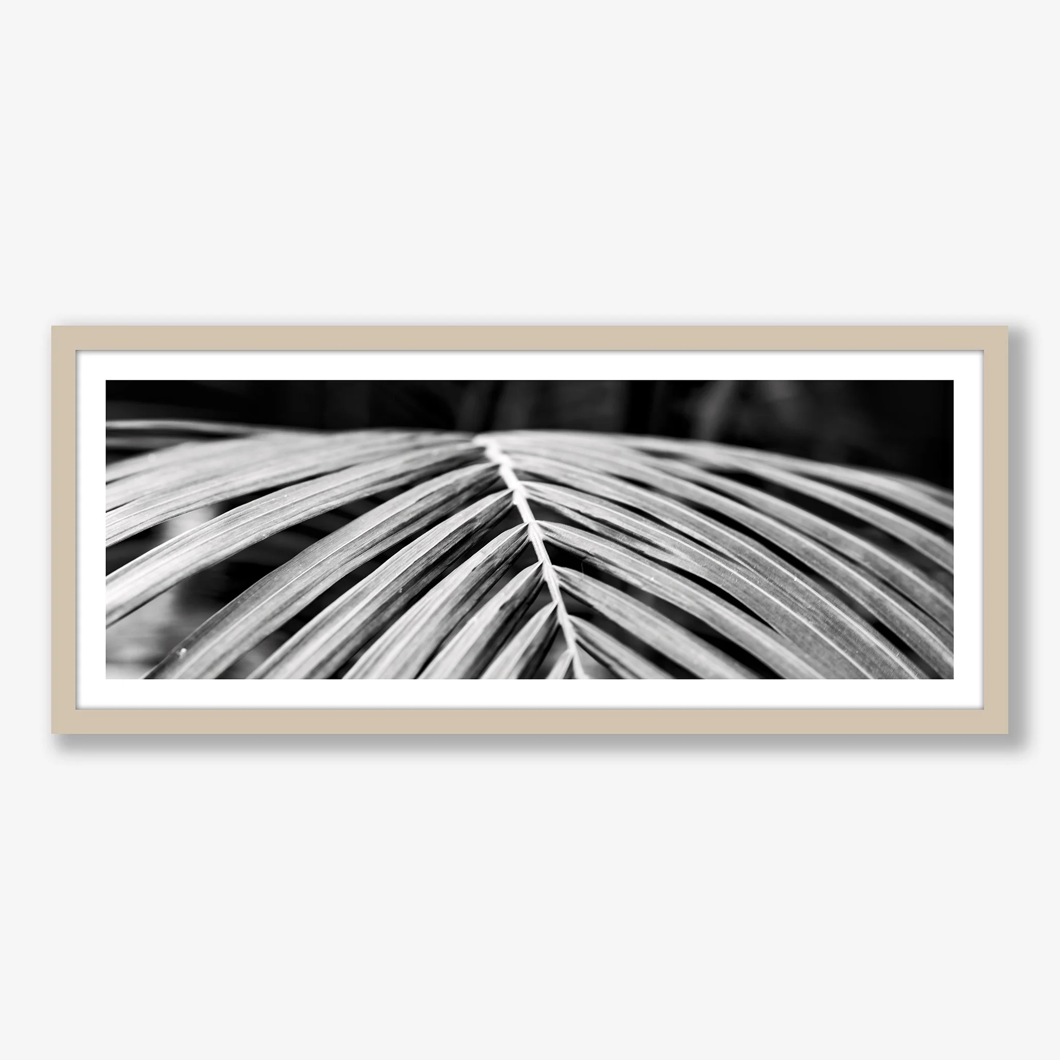 palm-leaf-oak.jpg