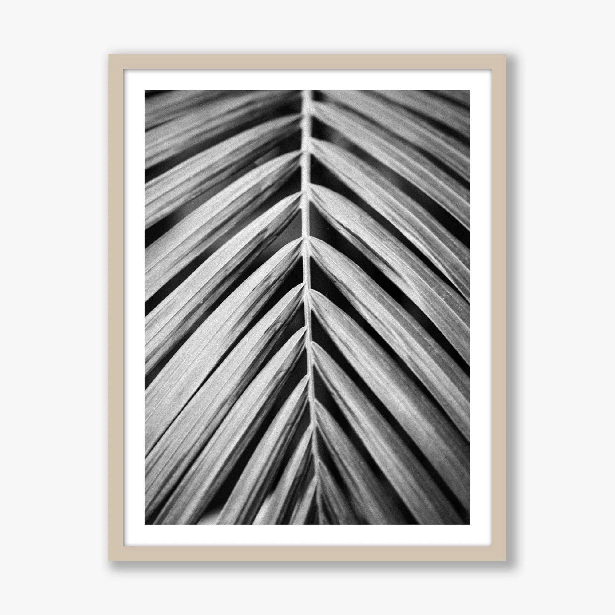 palm-leaf-vertical-oak.jpg