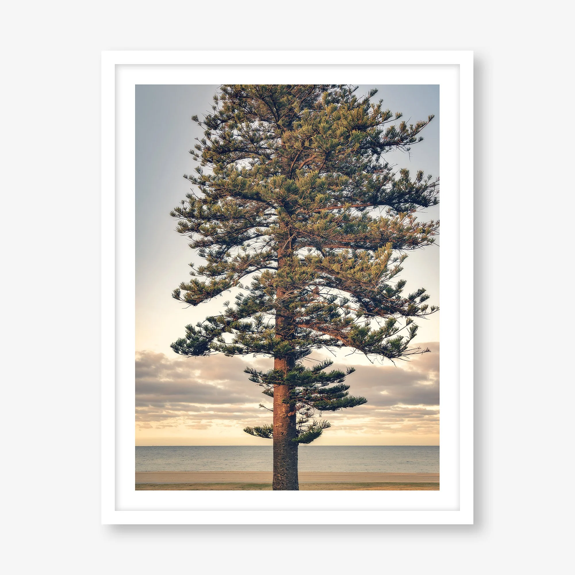 THE PERFECTLY IMPERFECT TREE