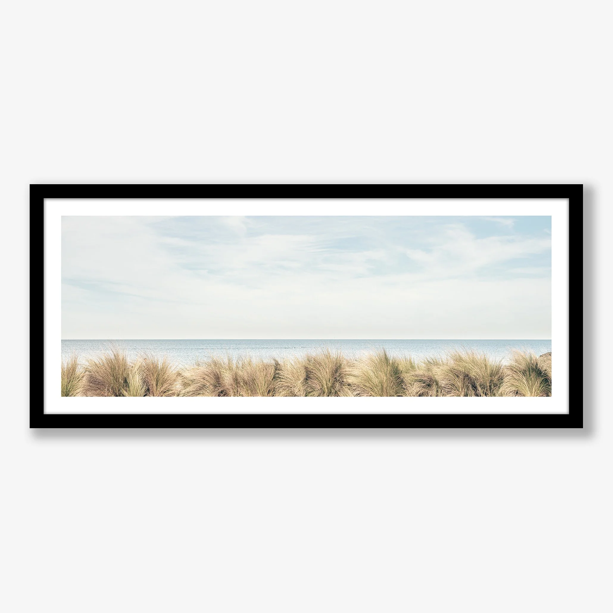 swimmers-and-seagrasses-black.jpg