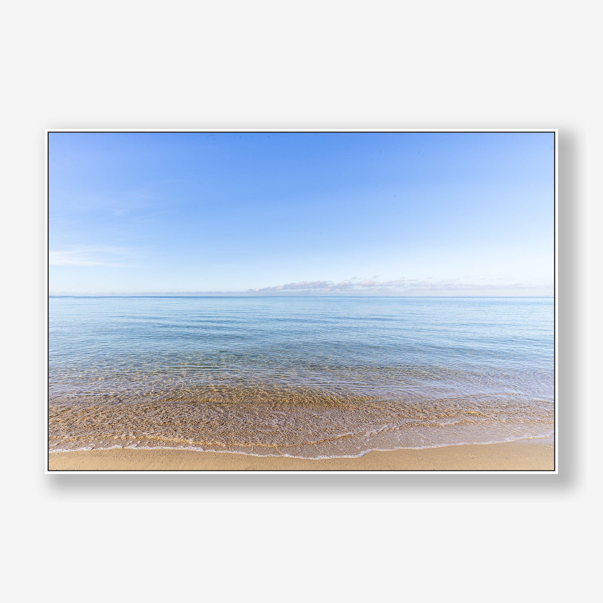 elwood-blues-4704-canvas-white.jpg