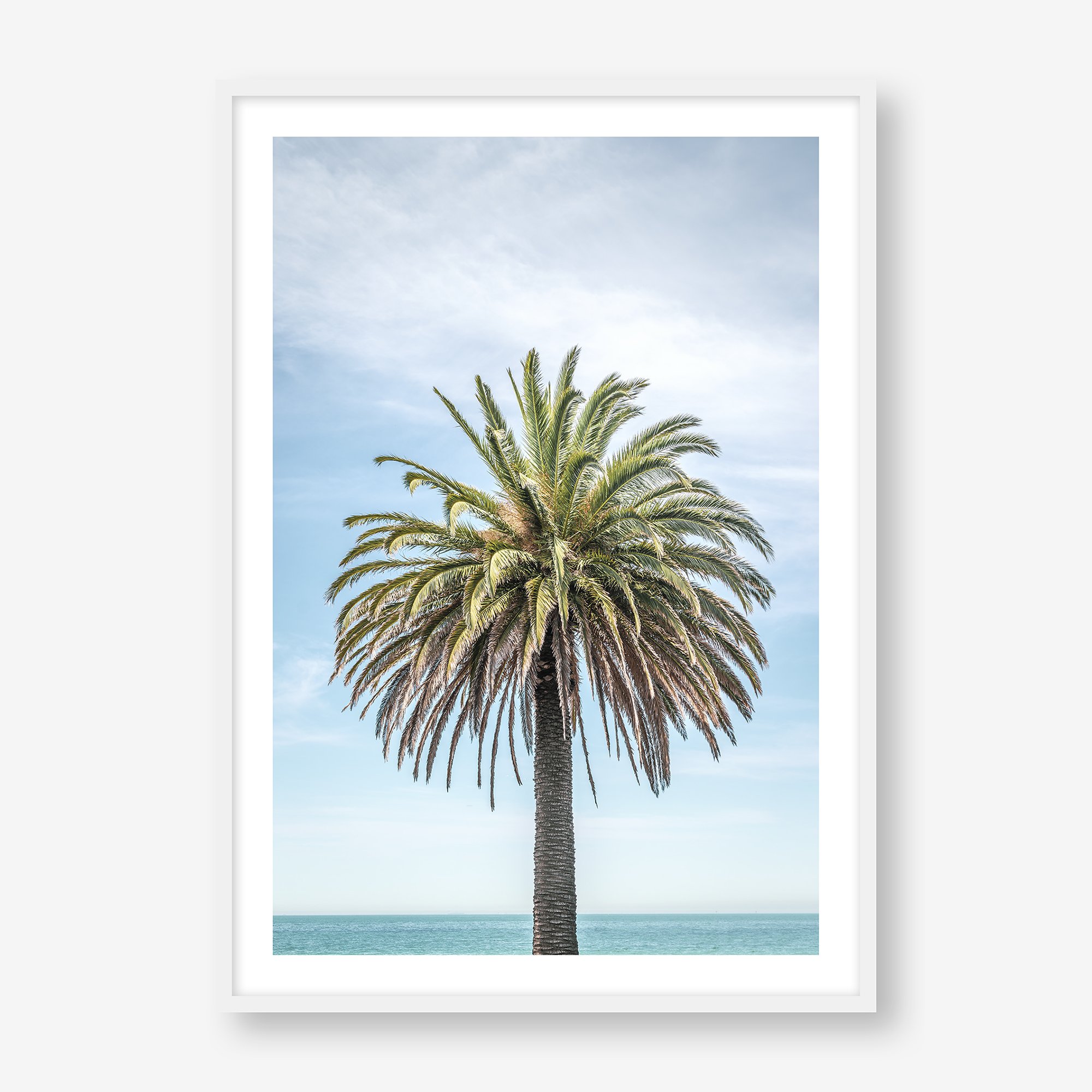 palm-tree-no2-white.jpg