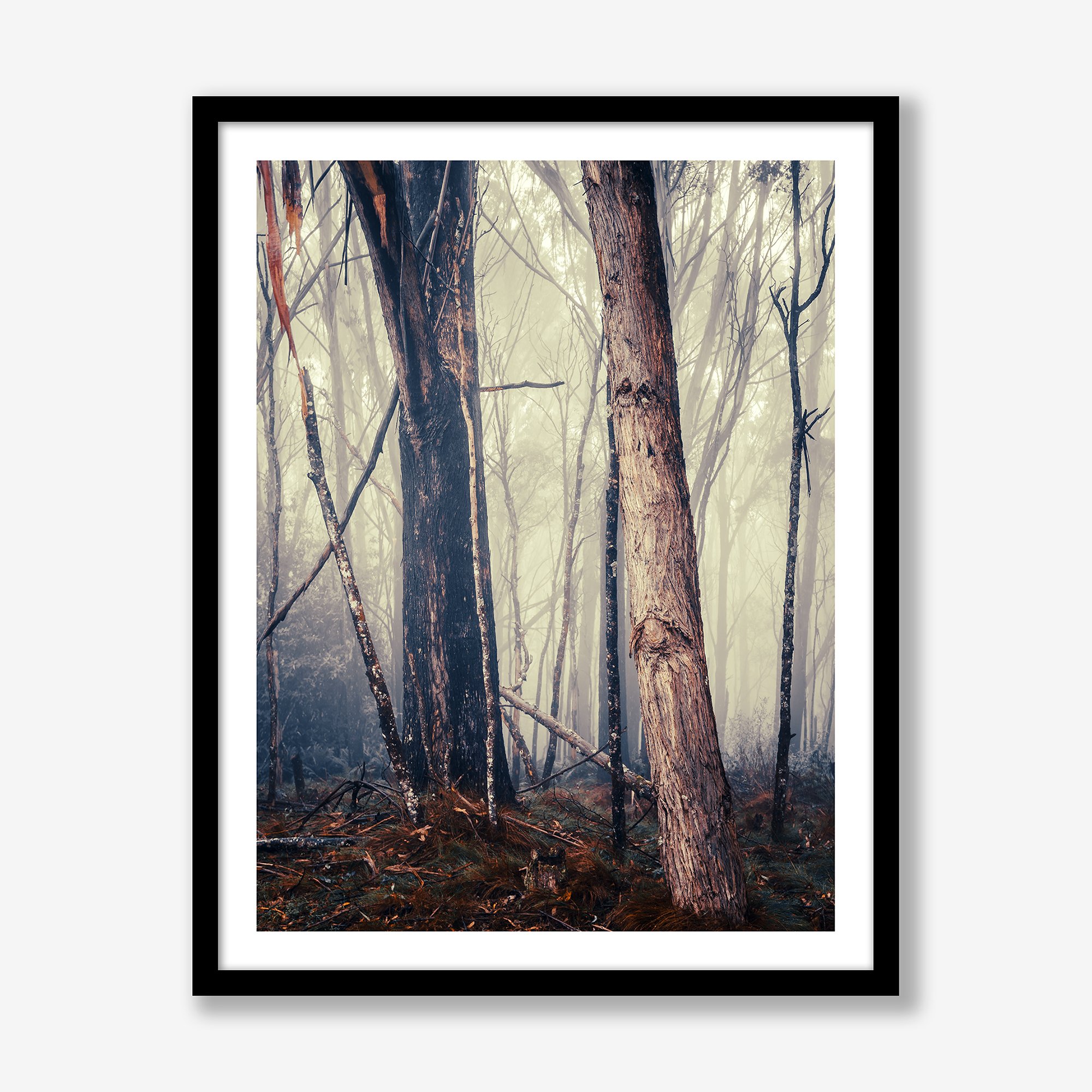 trees-in-fog-no1-vert-black.jpg