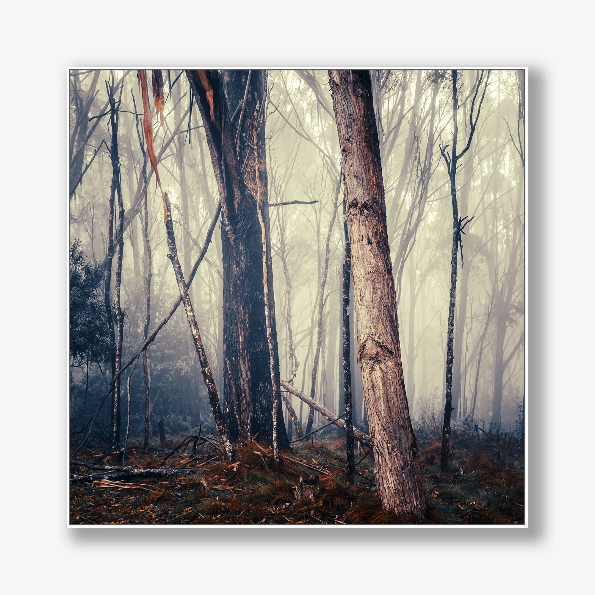 trees-in-fog-no4-canvas-white.jpg