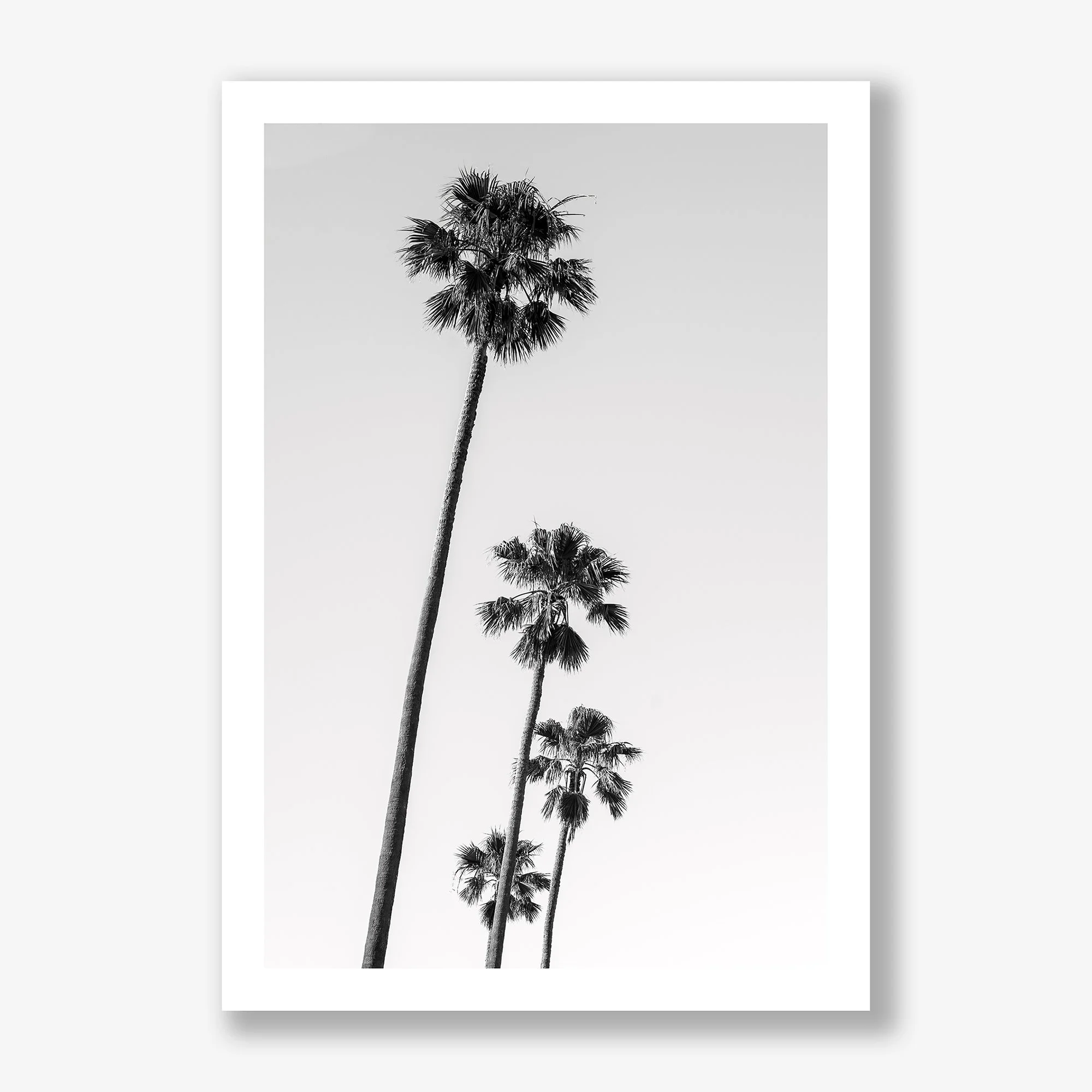 st-kilda-palms-no4-print.jpg
