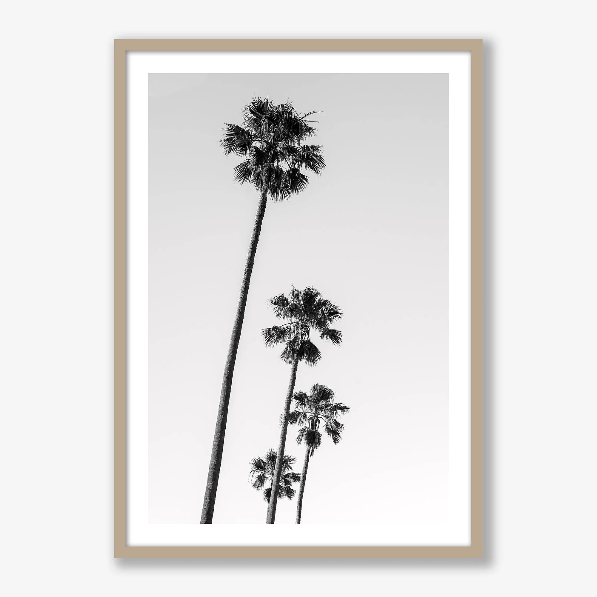 st-kilda-palms-no4-oak.jpg
