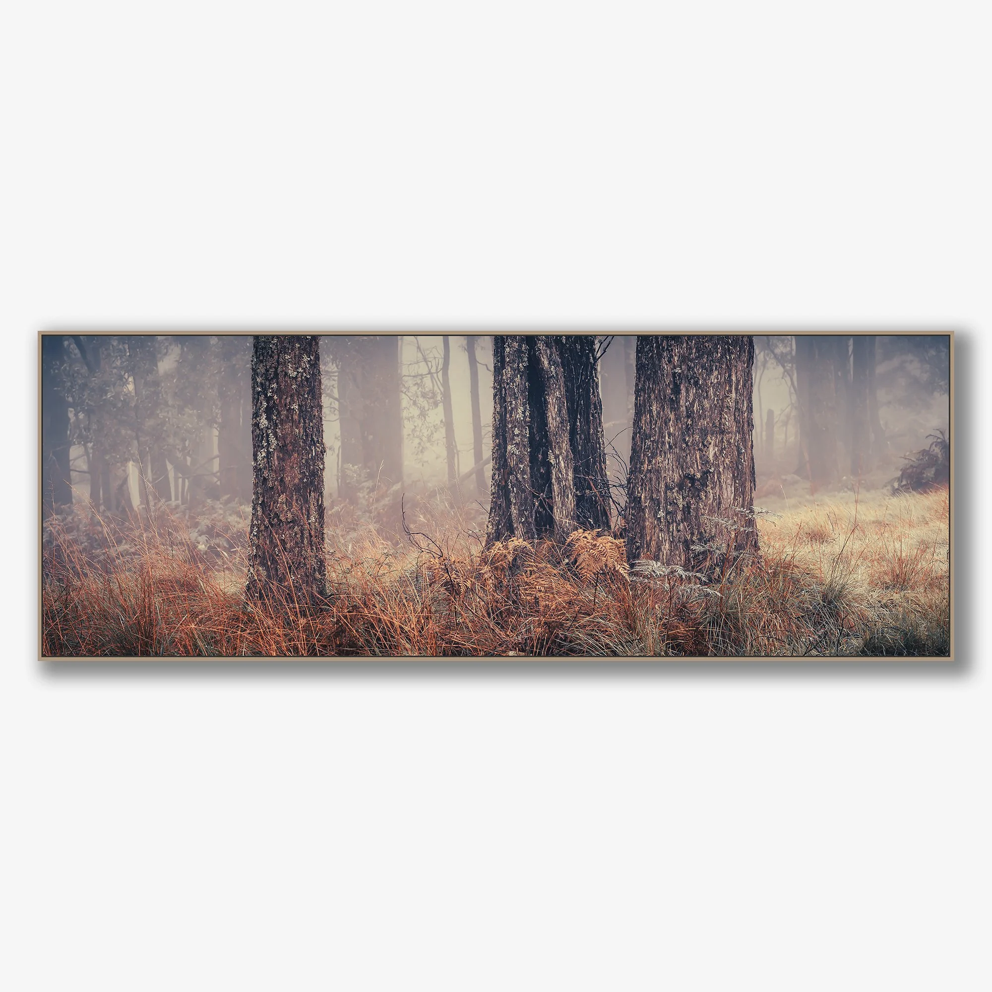 trees-in-fog-no3-canvas-oak.jpg