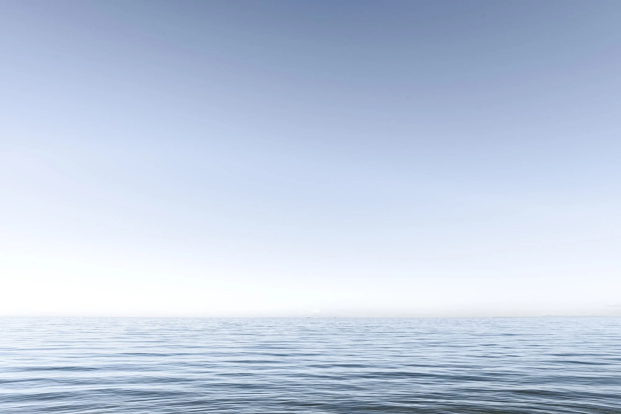 morning-blues-no1-ss.jpg