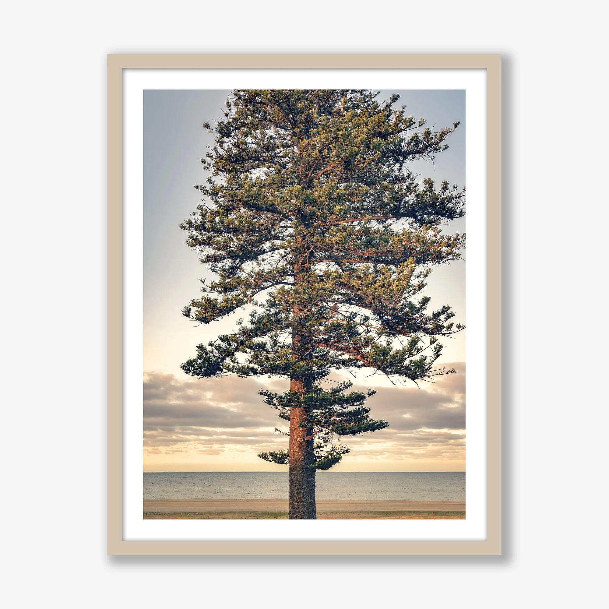 perfectly-imperfect-oak.jpg