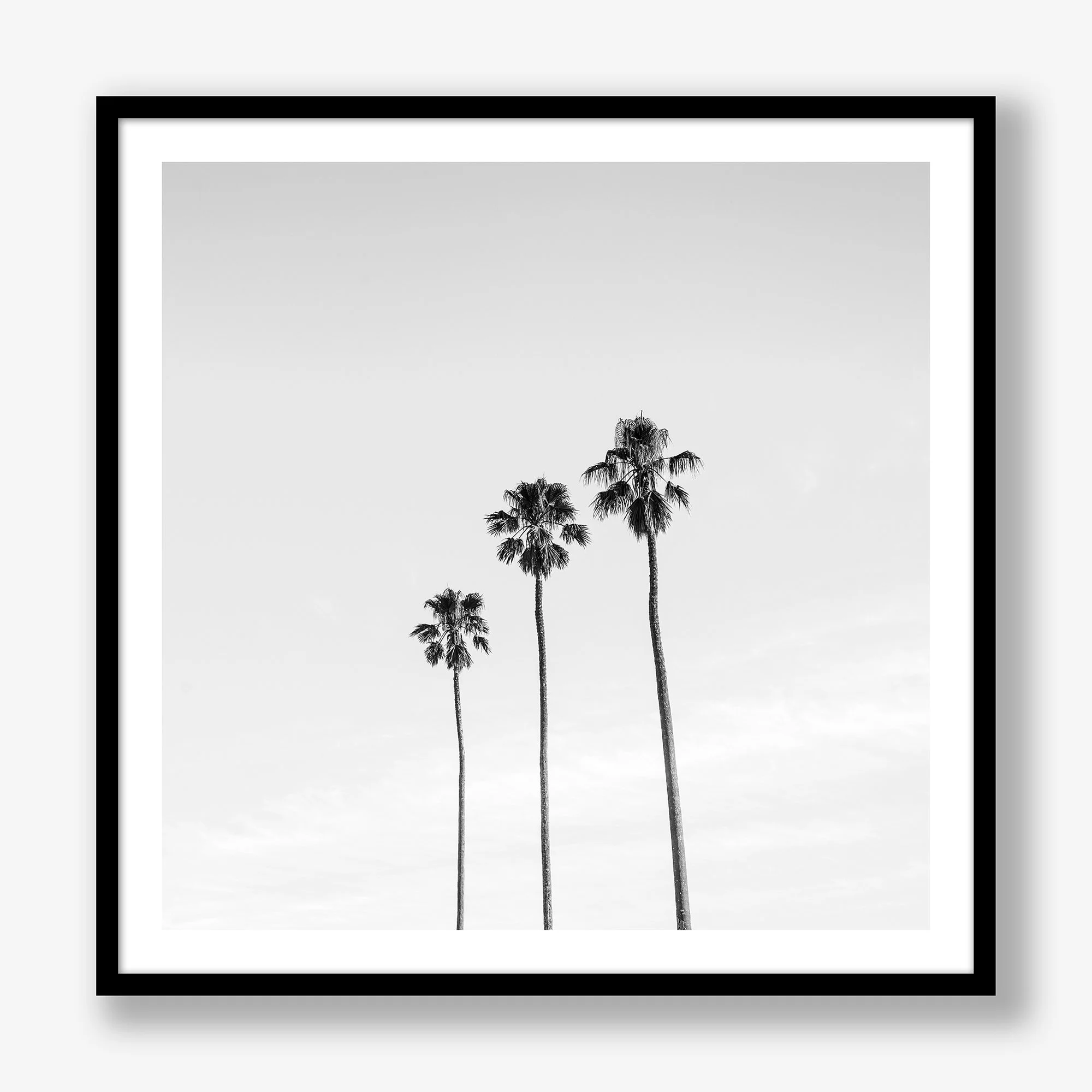 three-palms-black.jpg