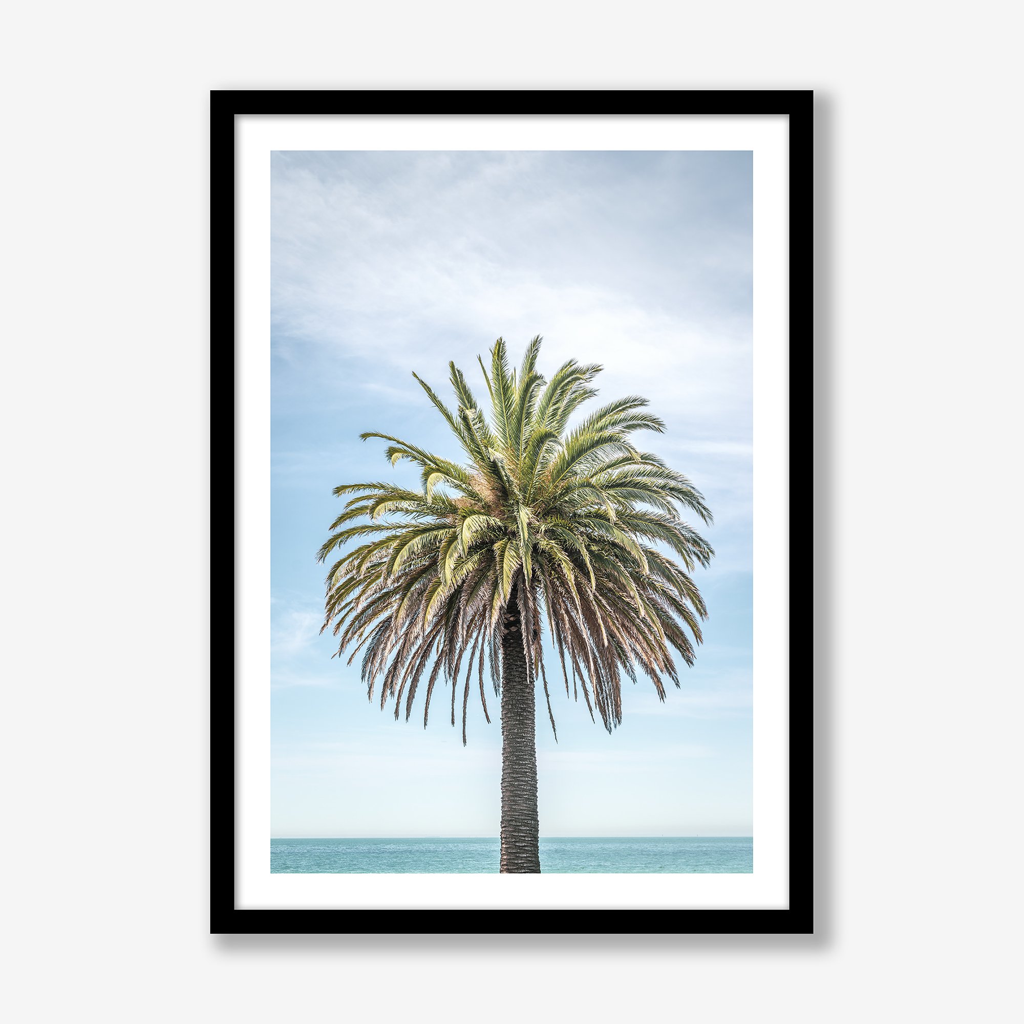 portrait-of-a-palm-tree-no1-black.jpg