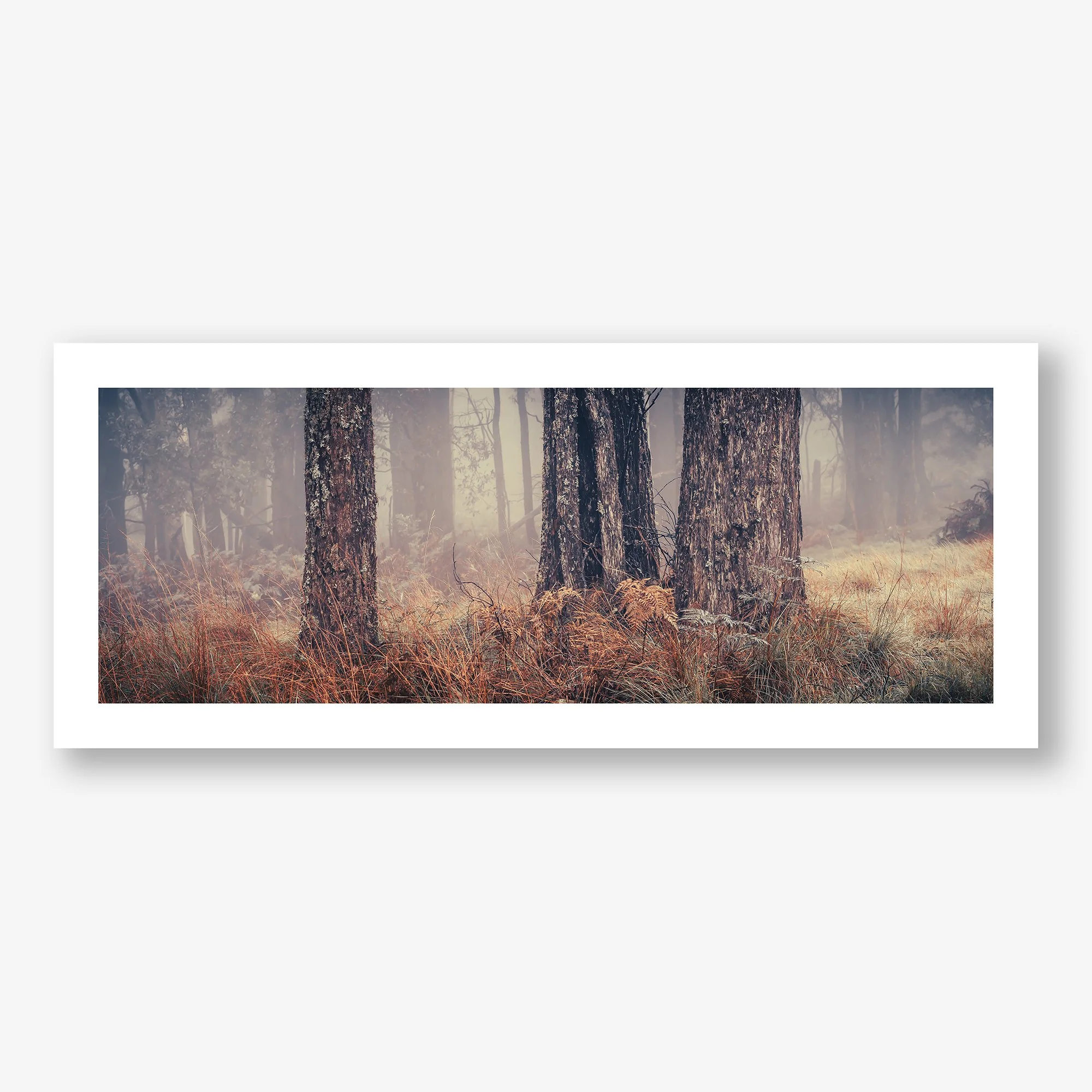TREES IN FOG (NO.3)