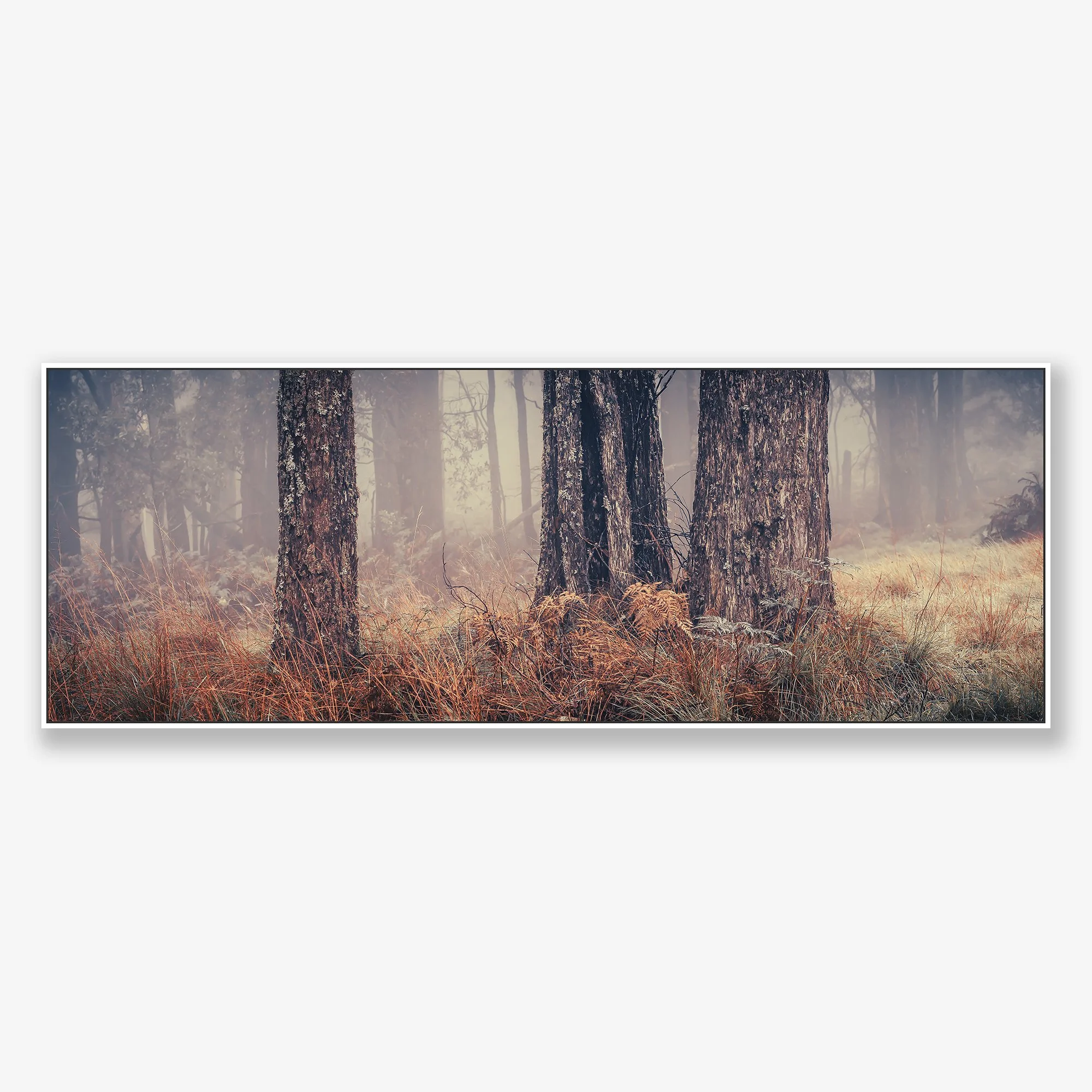 trees-in-fog-no3-canvas-white.jpg