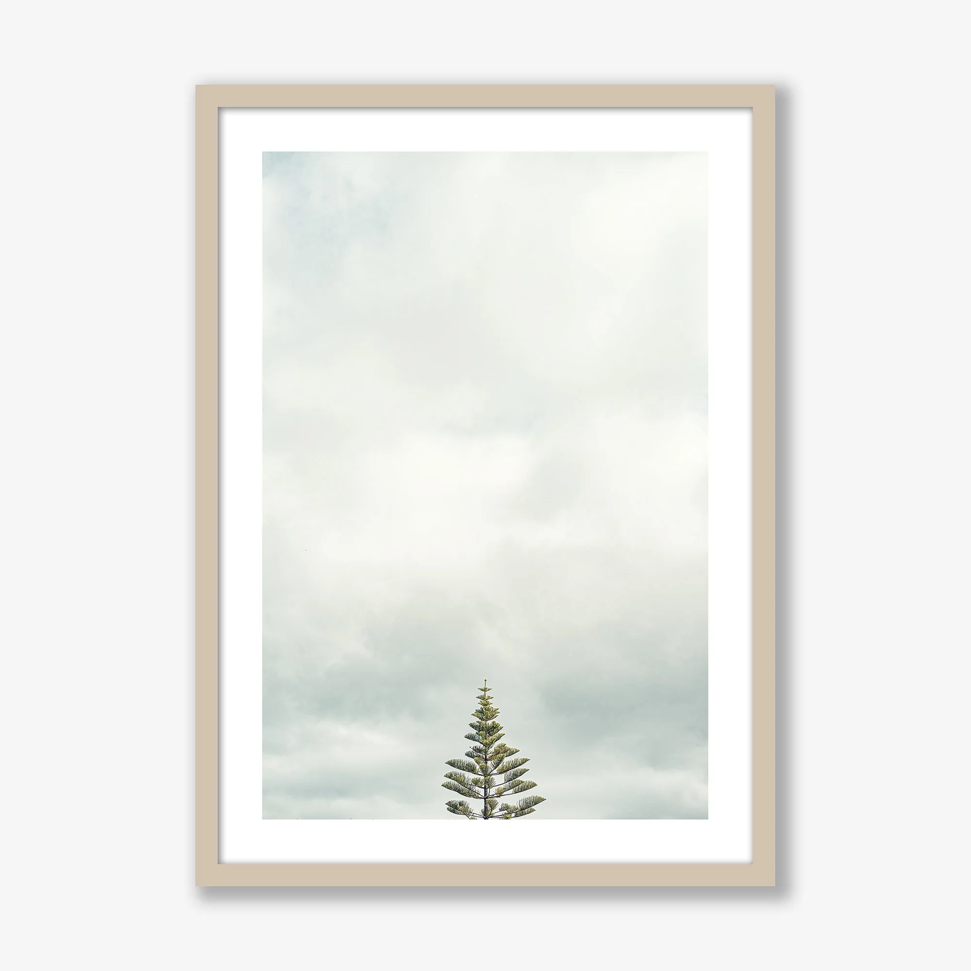 oh-christmas-tree-oak.jpg