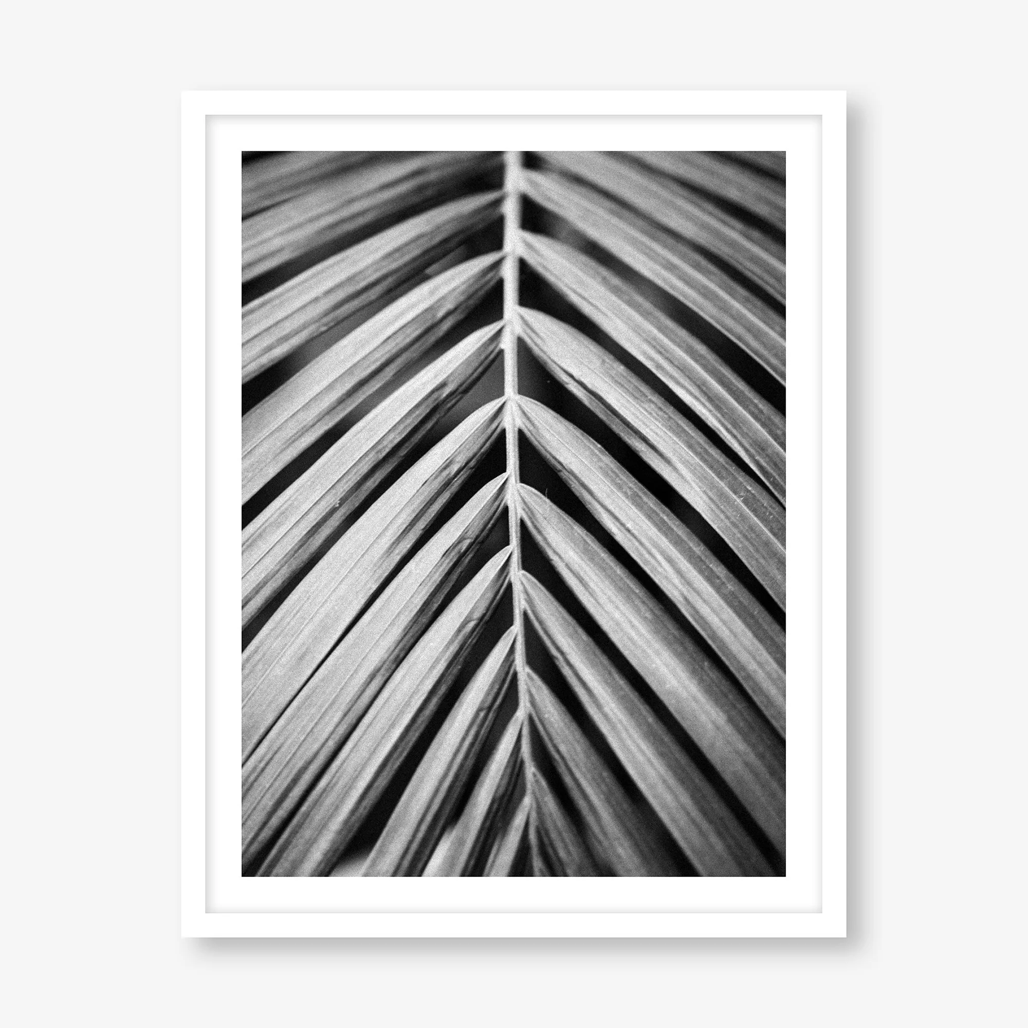 PALM LEAF (VERTICAL)