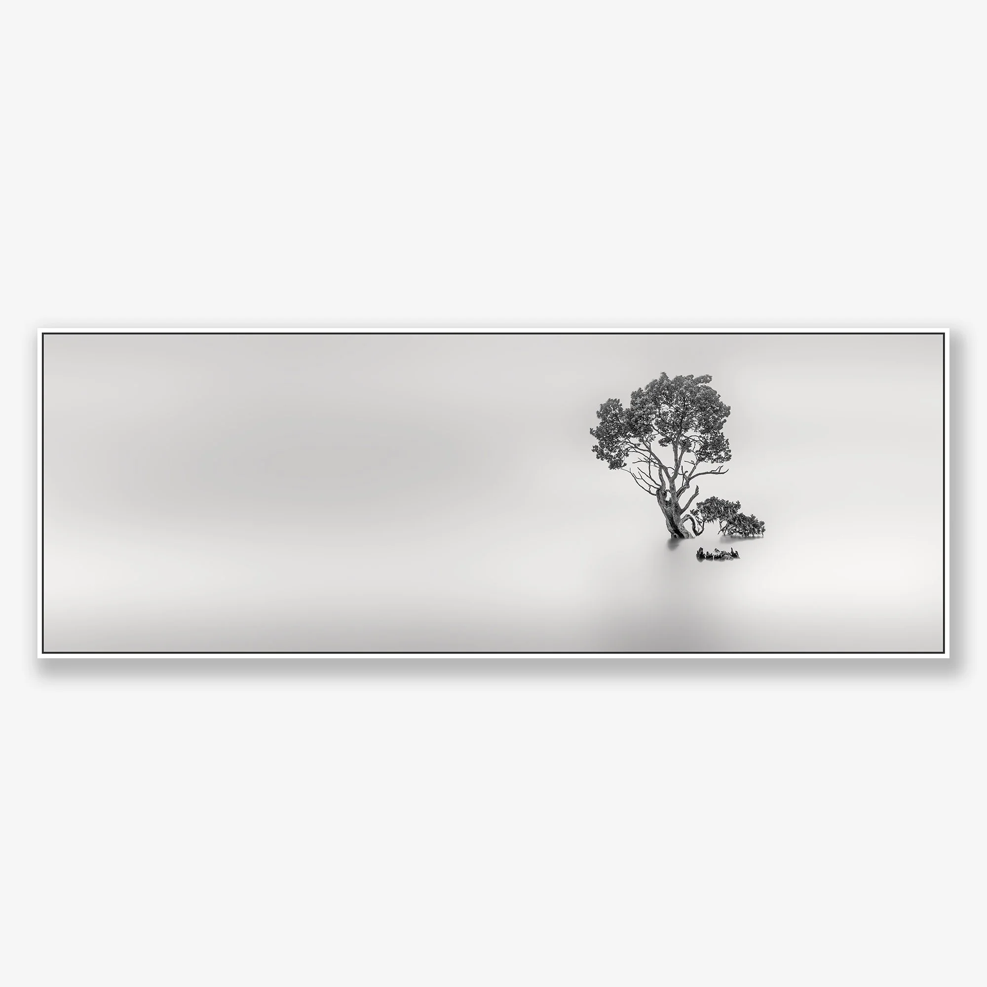 zen-tree-no2-canvas-white.jpg