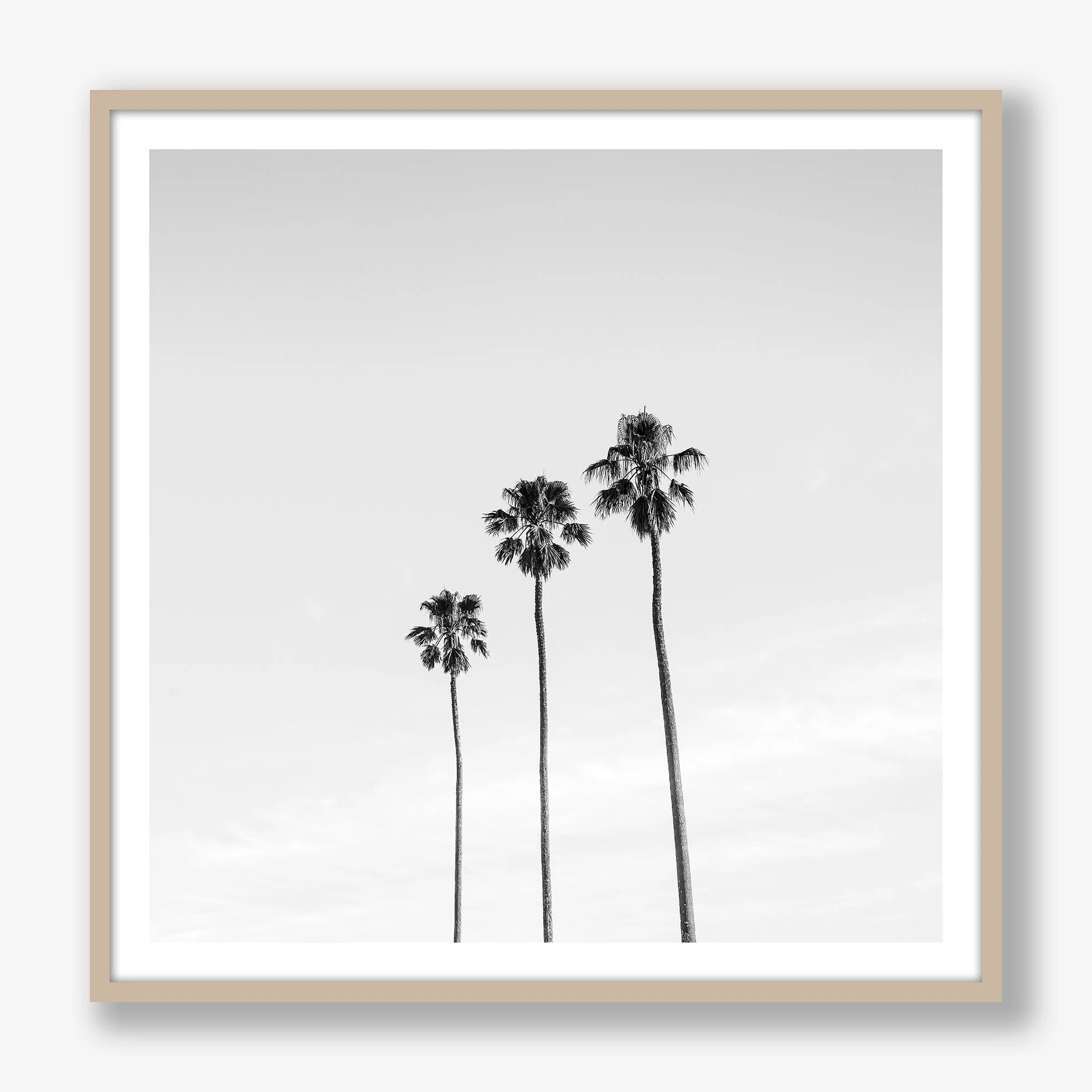 three-palms-oak.jpg