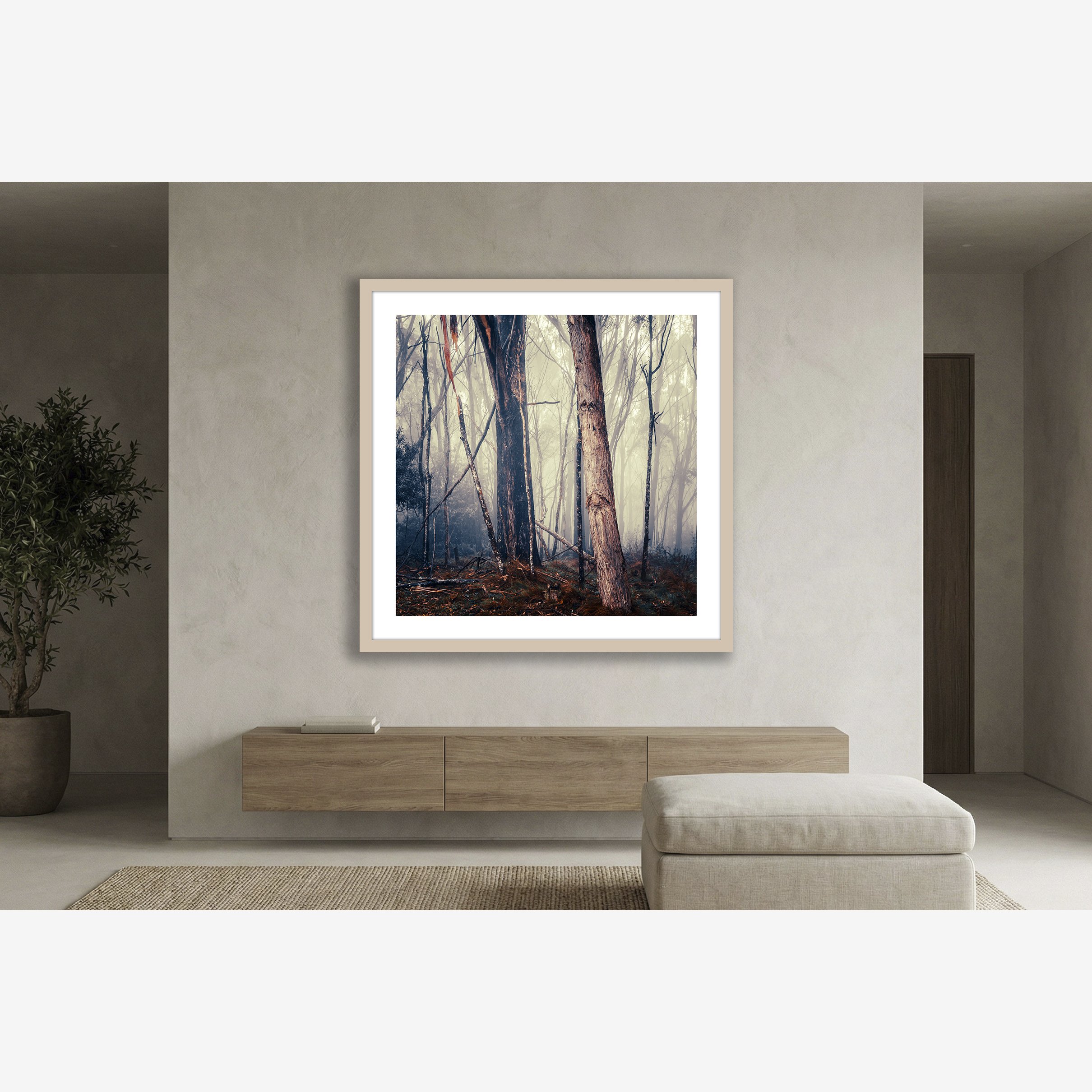 trees-in-fog-no1-insitu-ff.jpg
