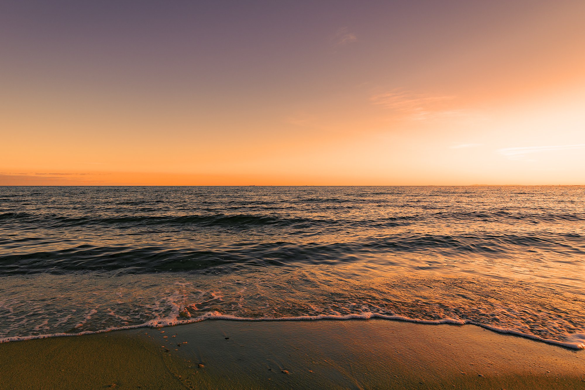 seascape-no11-ss.jpg