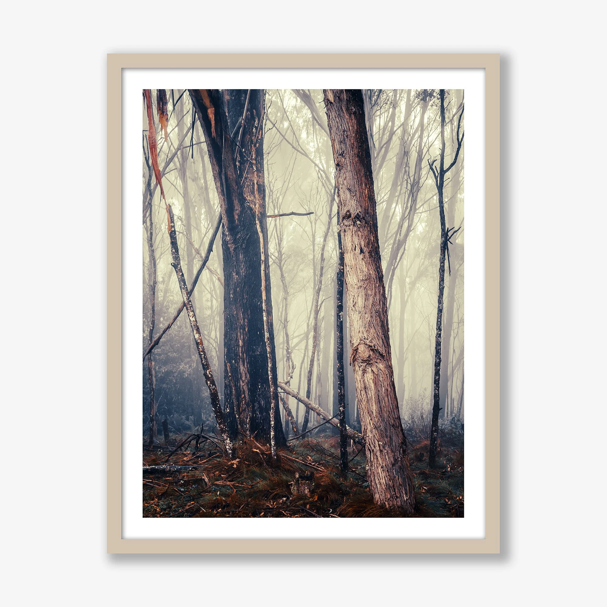 trees-in-fog-no1-vert-oak.jpg