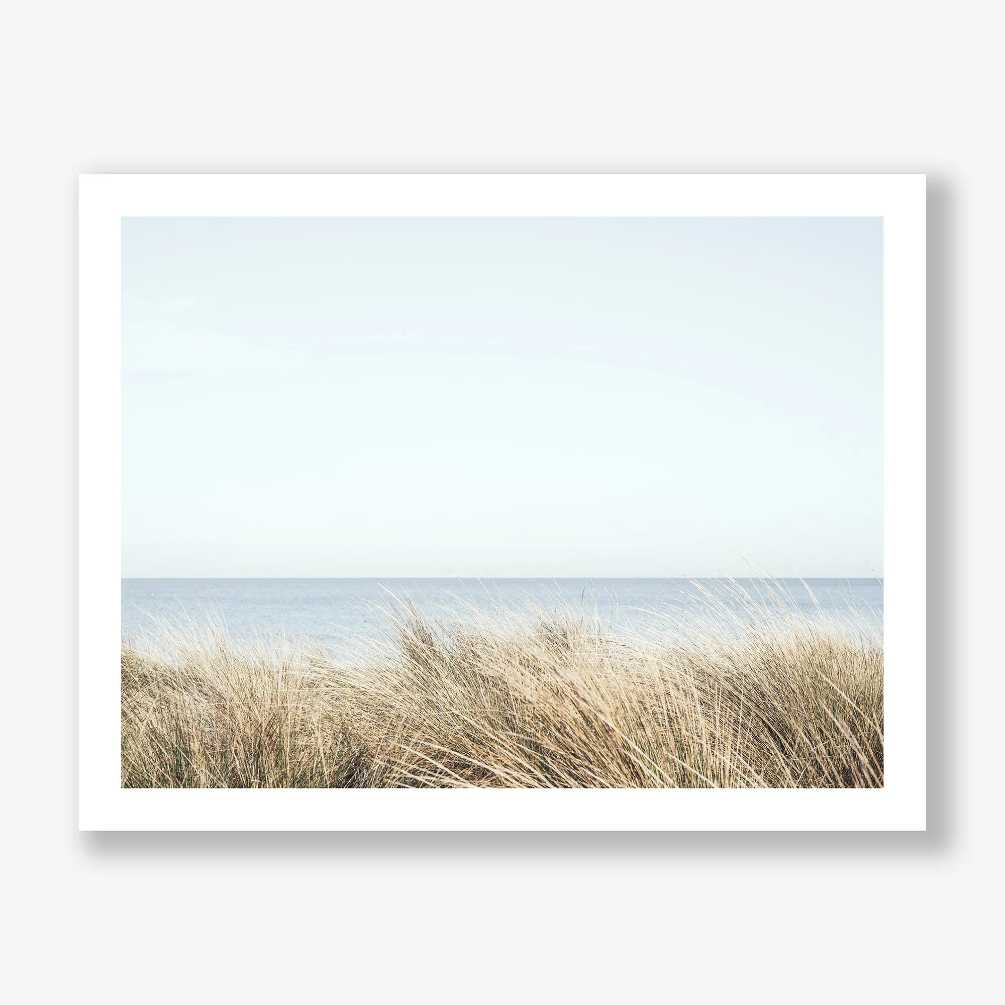 seagrasses-print.jpg