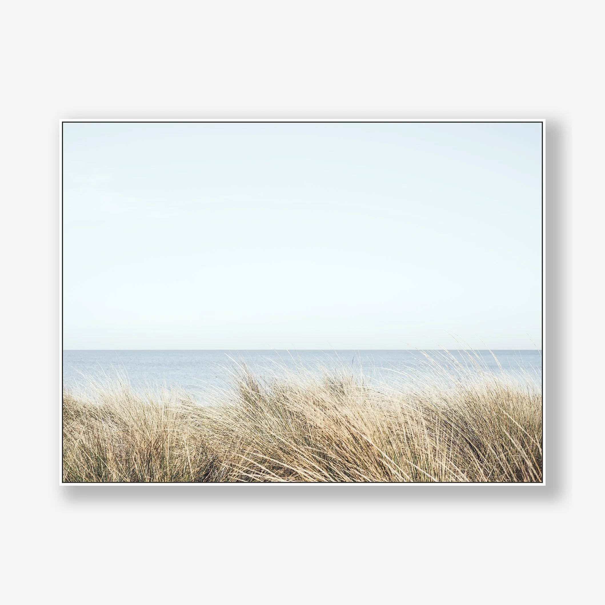 seagrasses-no1-canvas-white.jpg