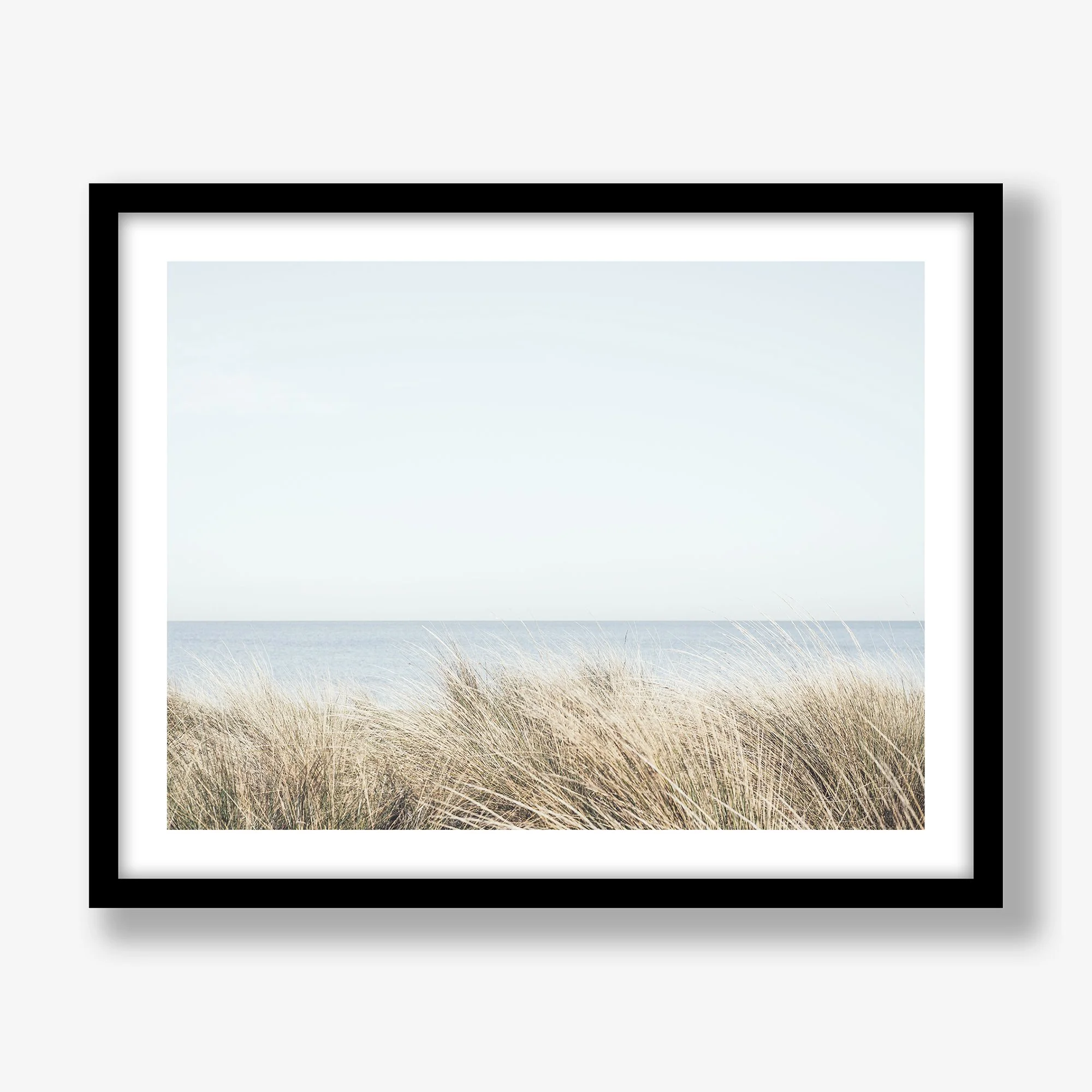 seagrasses-south-melbourne-black.jpg
