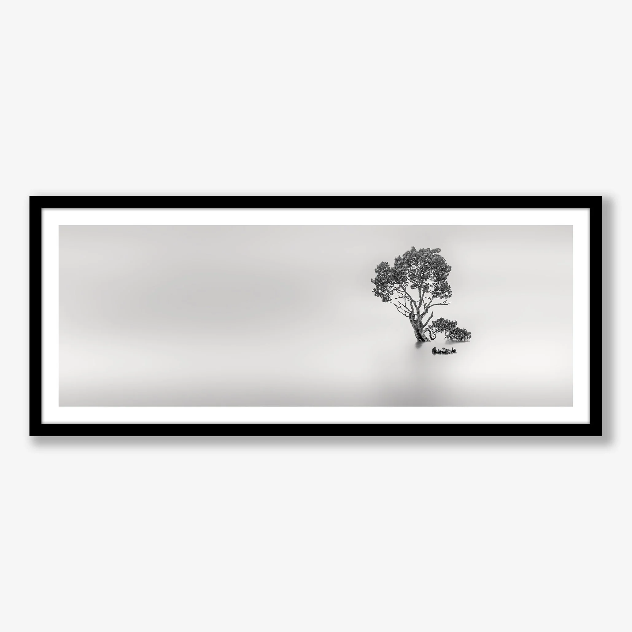 zen-tree-no2-black.jpg