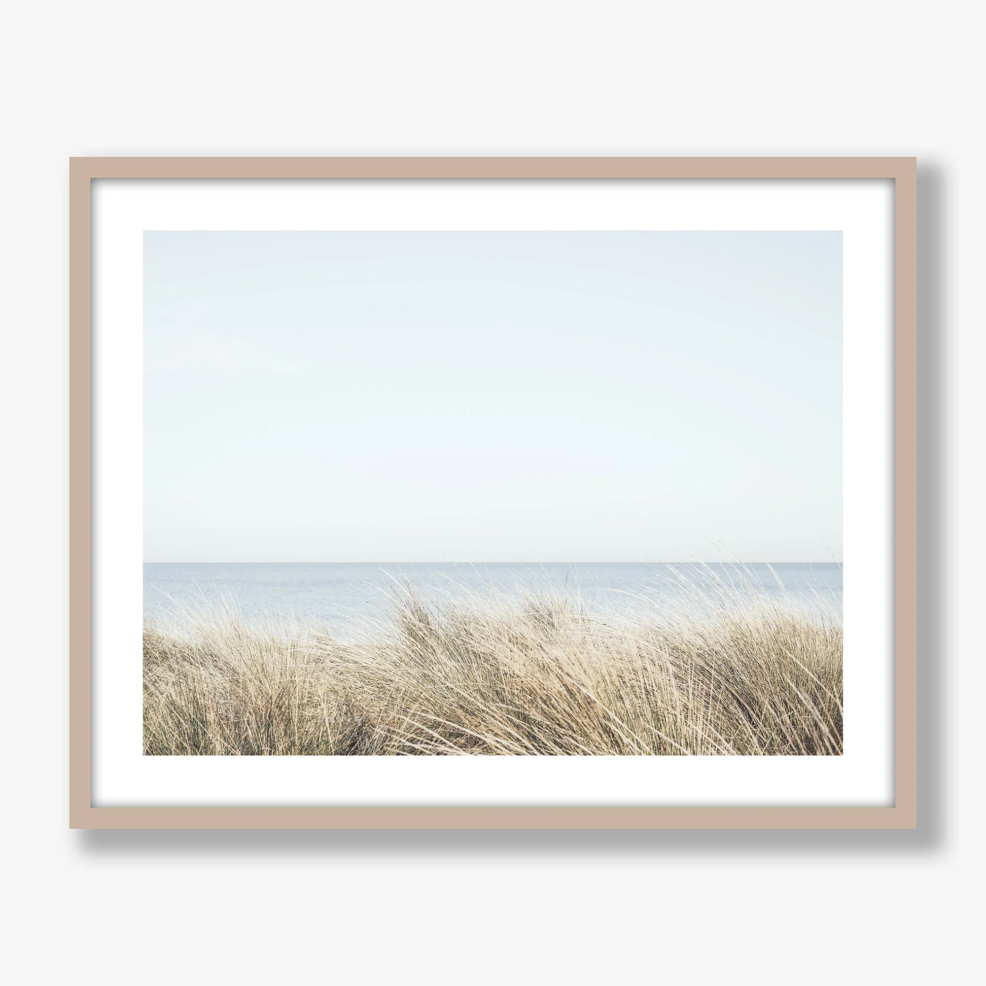 seagrasses-oak.jpg