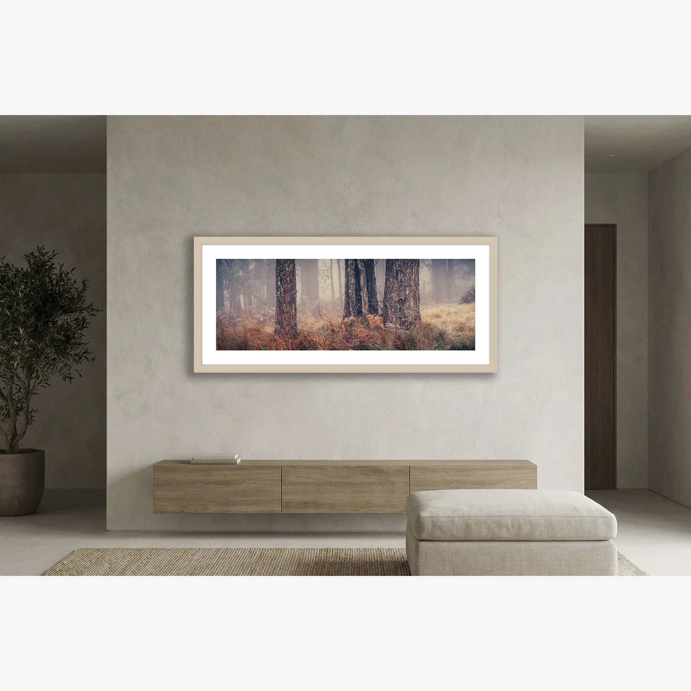 trees-in-fog-no3-insitu.jpg
