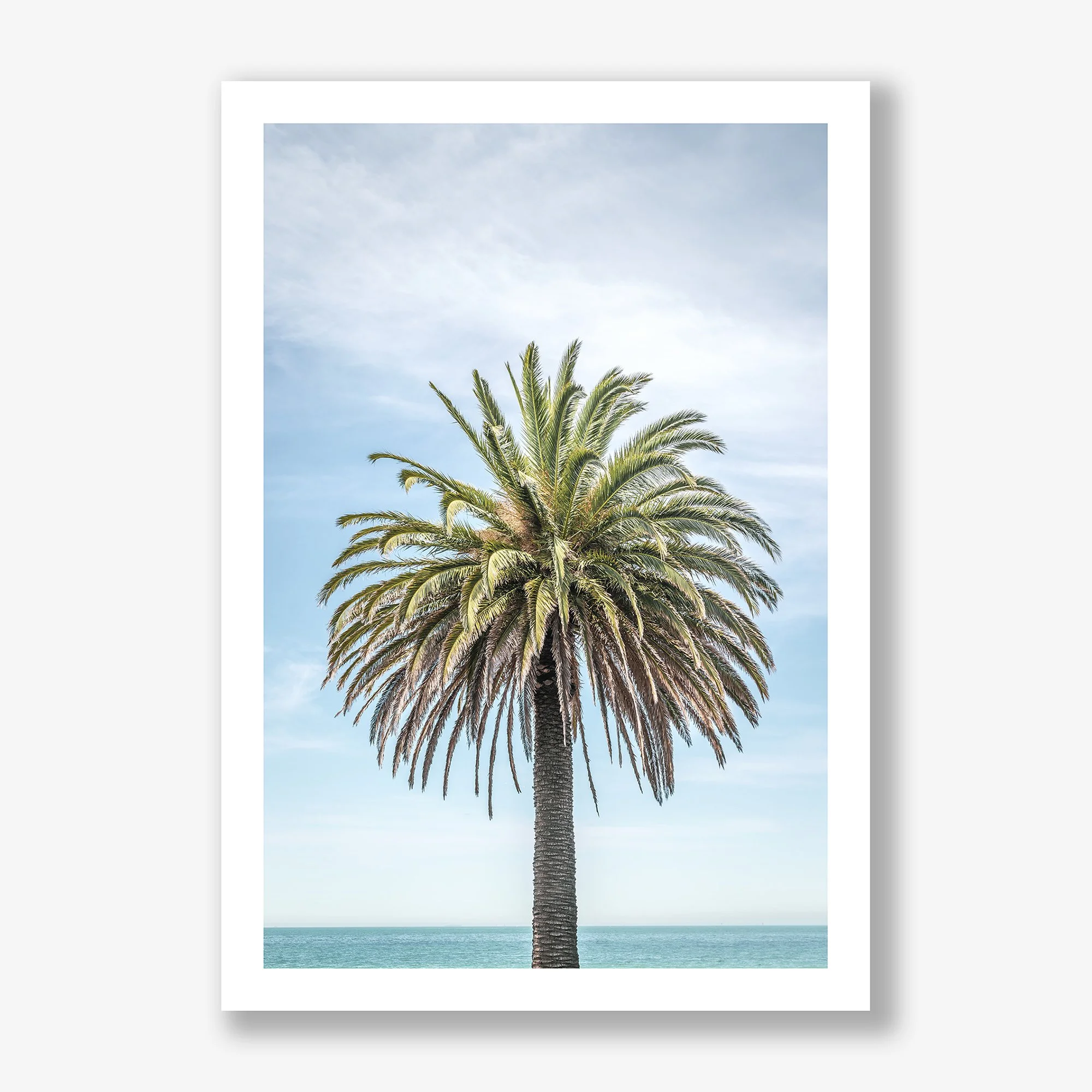 palm-tree-no2-print.jpg