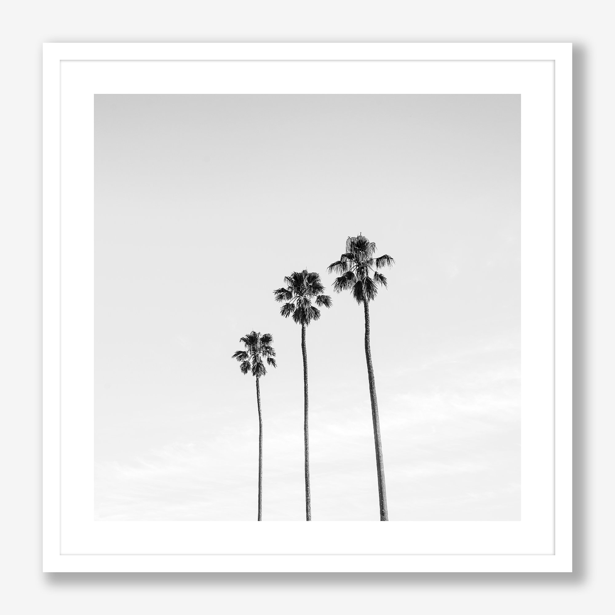 three-palms-white-ff.jpg (Copy)