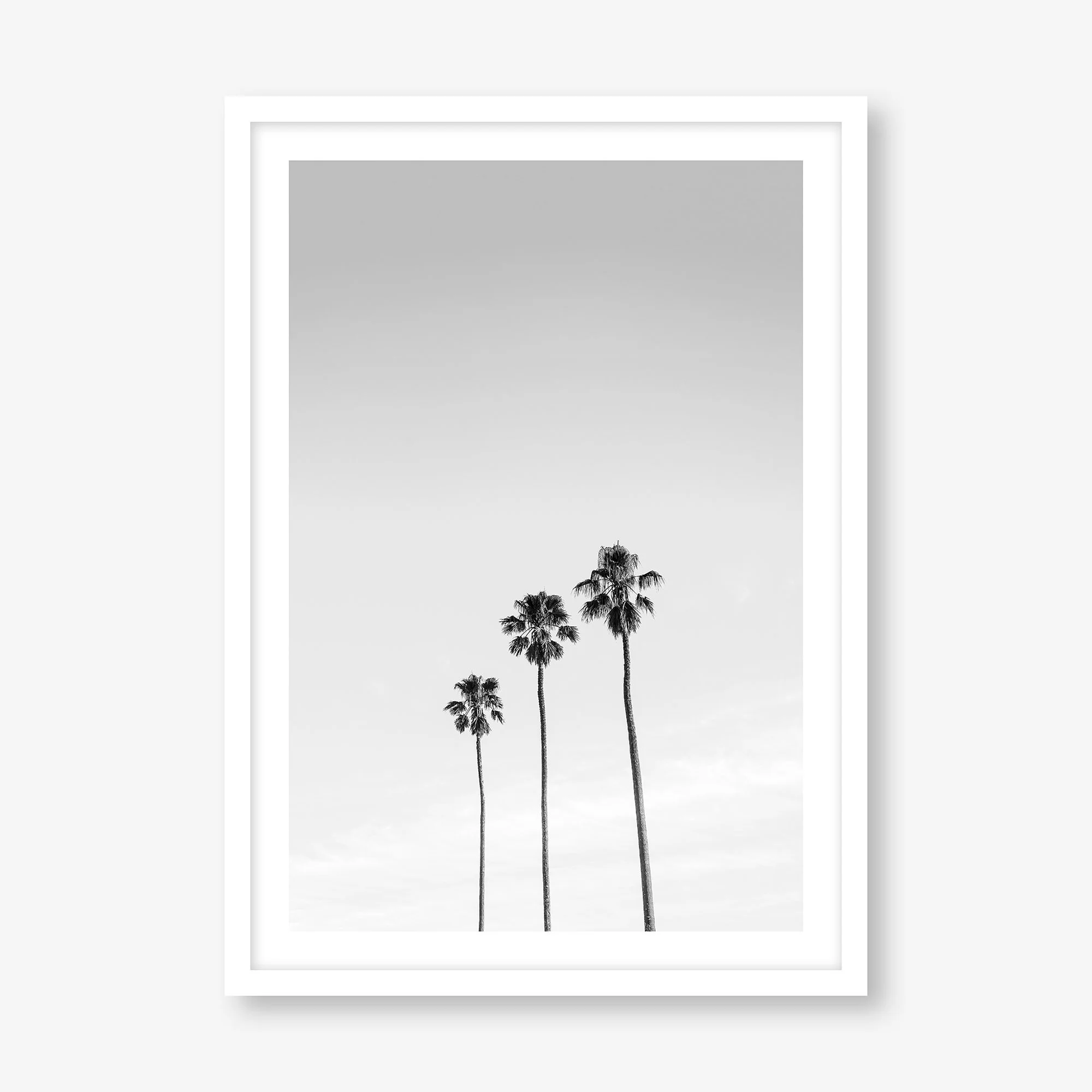THREE PALMS (ST. KILDA)