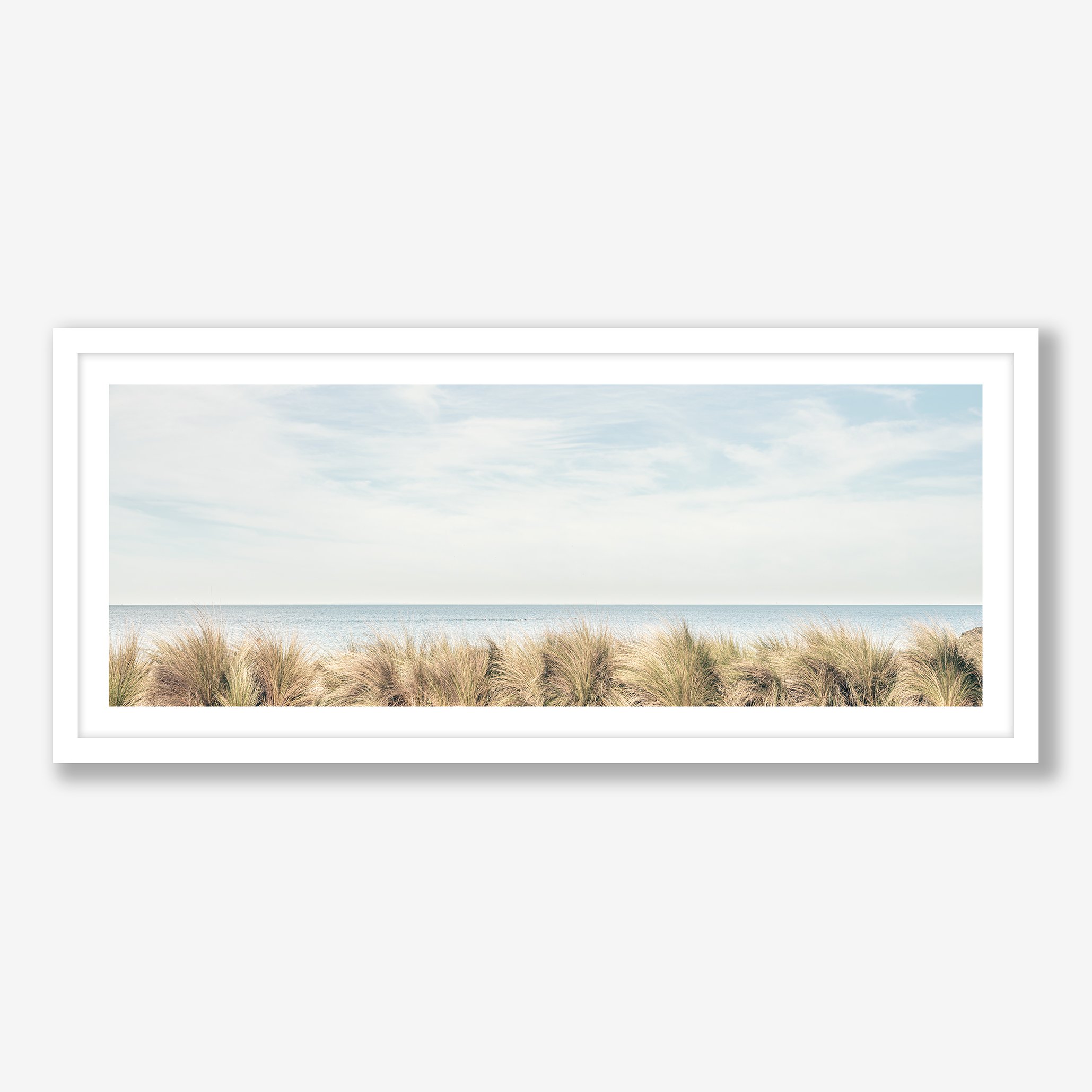 swimmers-and-seagrasses-white.jpg