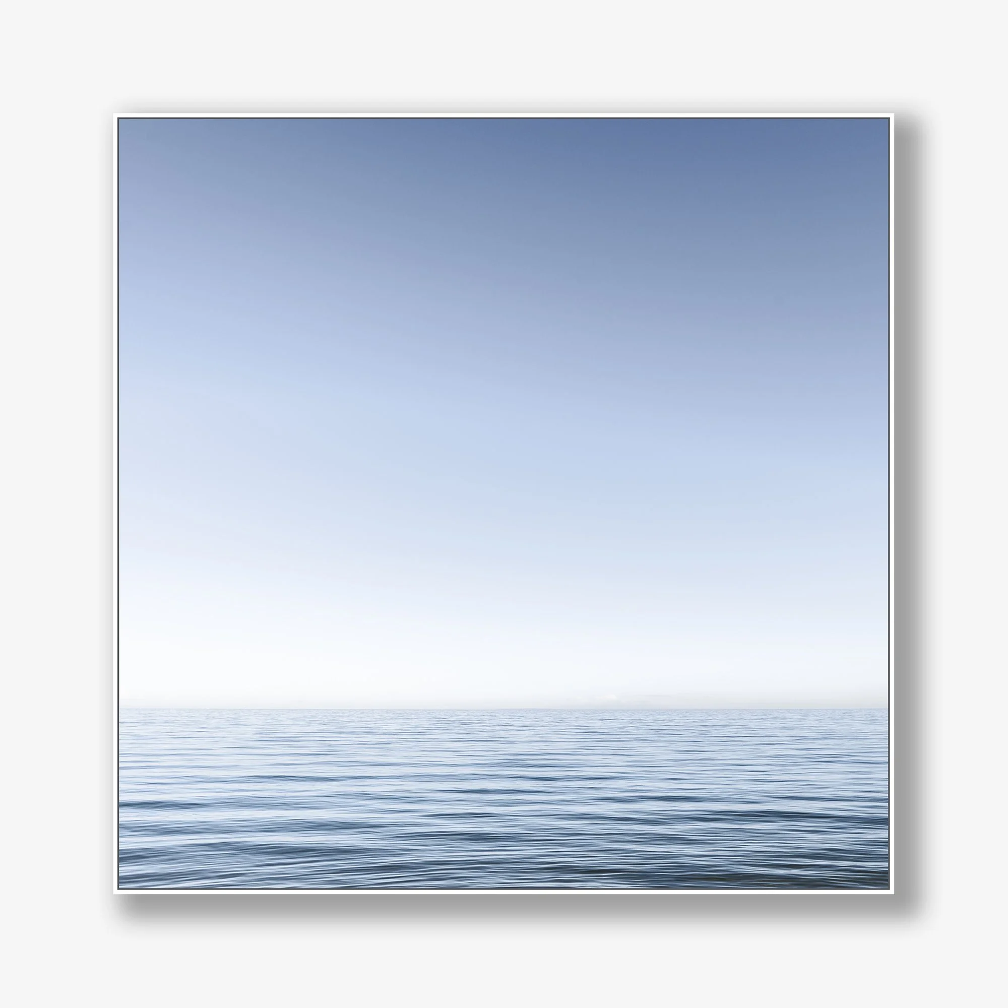 morning-blues-no2-canvas-white.jpg