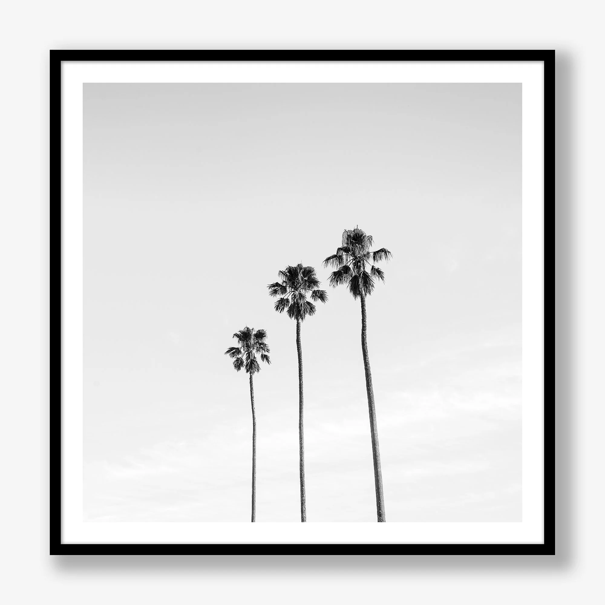 three-palms-black.jpg