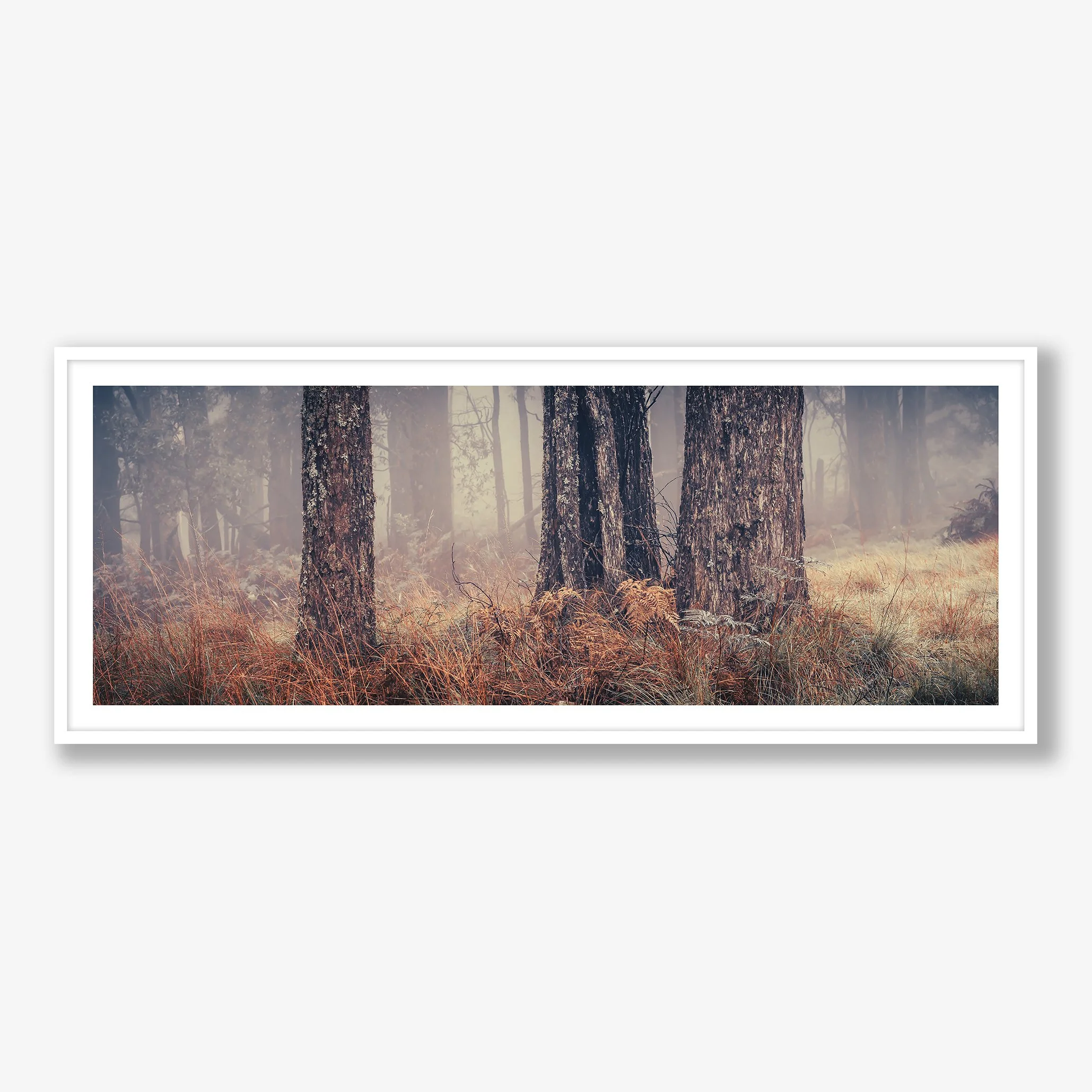 trees-in-fog-no3-white.jpg
