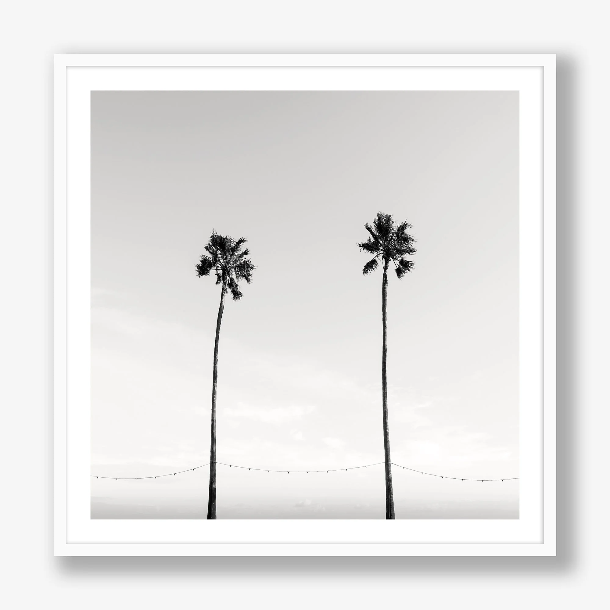 two-palms-white.jpg