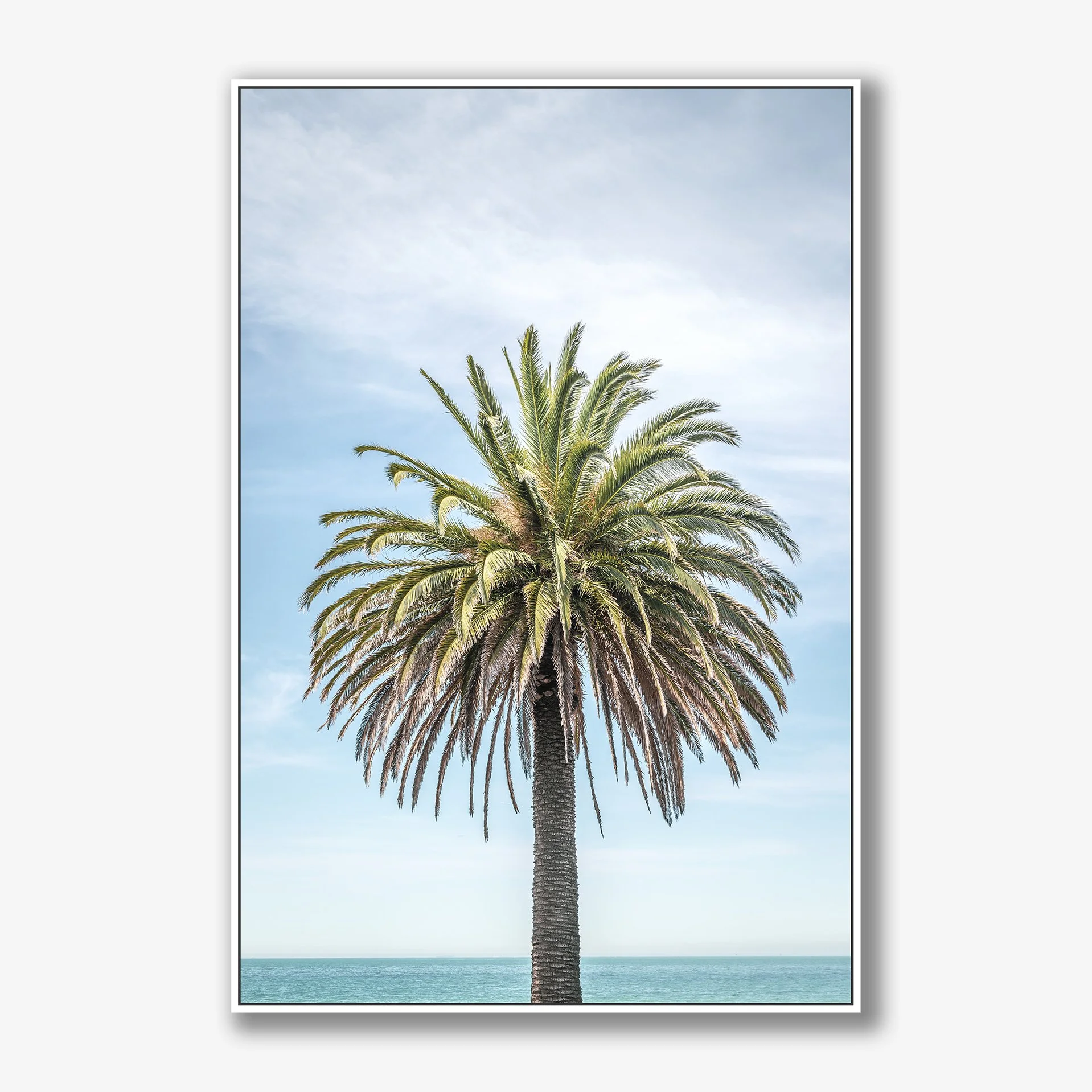 palm-no2-canvas-white.jpg