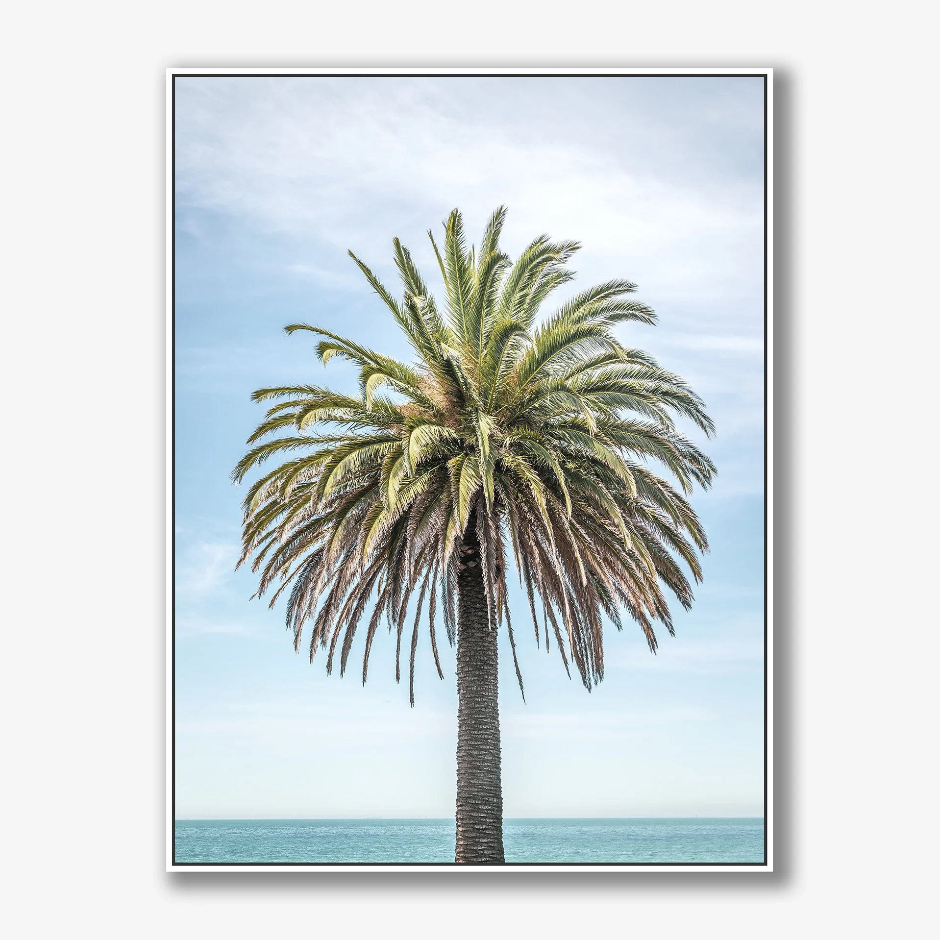 palm-no3-canvas-white.jpg