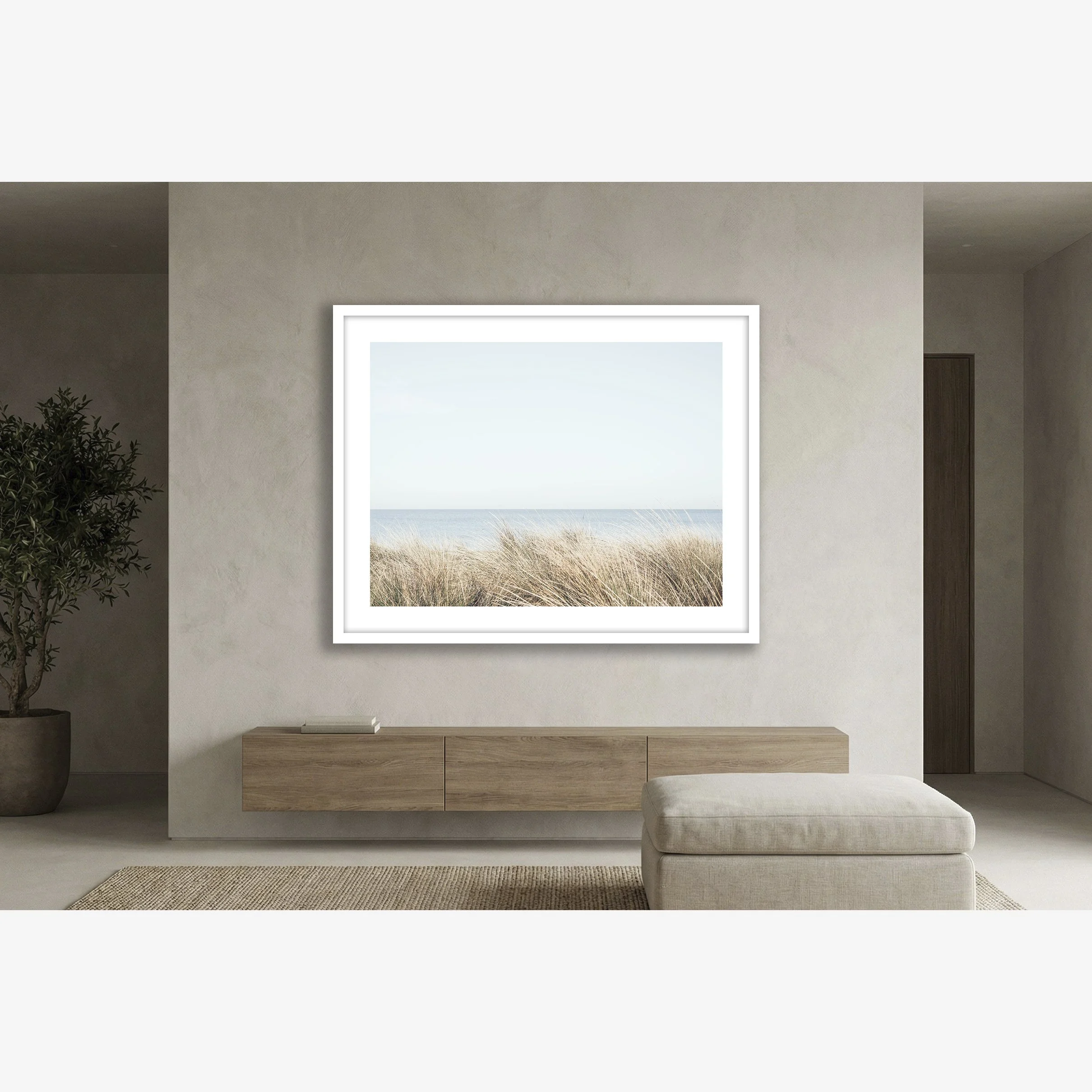 seagrasses-insitu.jpg